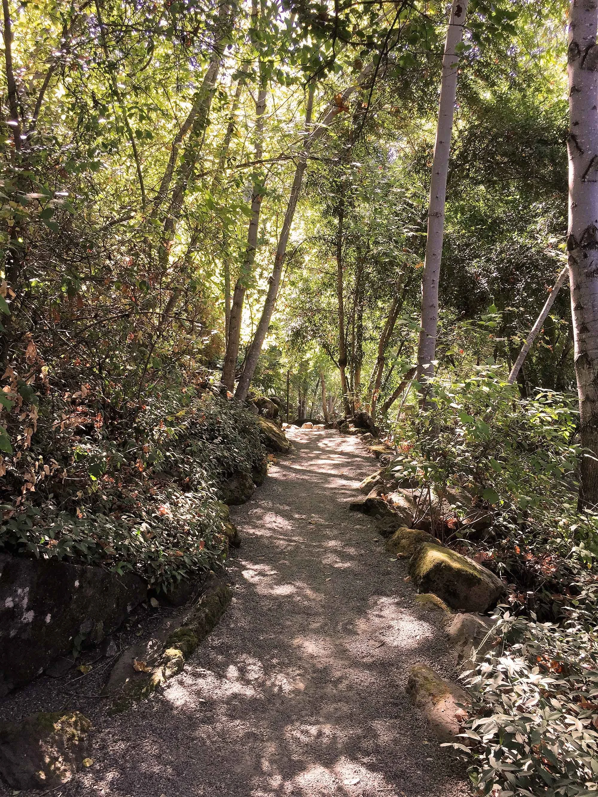 6.-Meadowood-Napa-Valley-Hiking-Trail.jpg