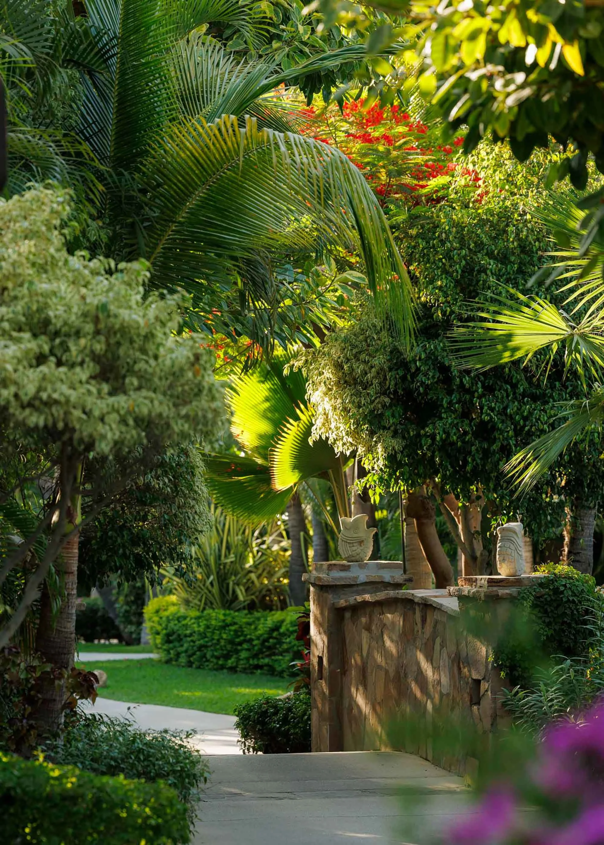 Palmilla
