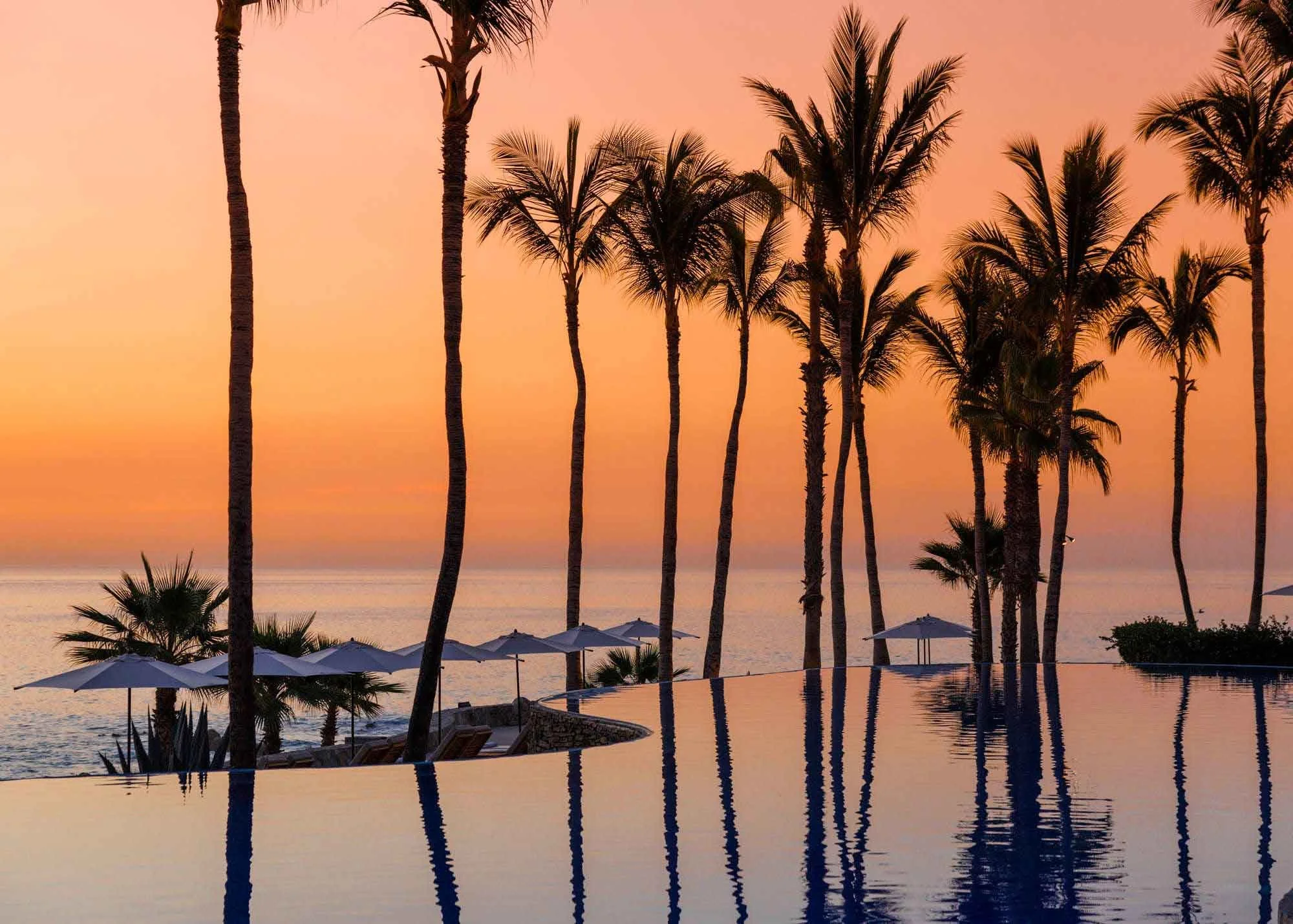 Palmilla
