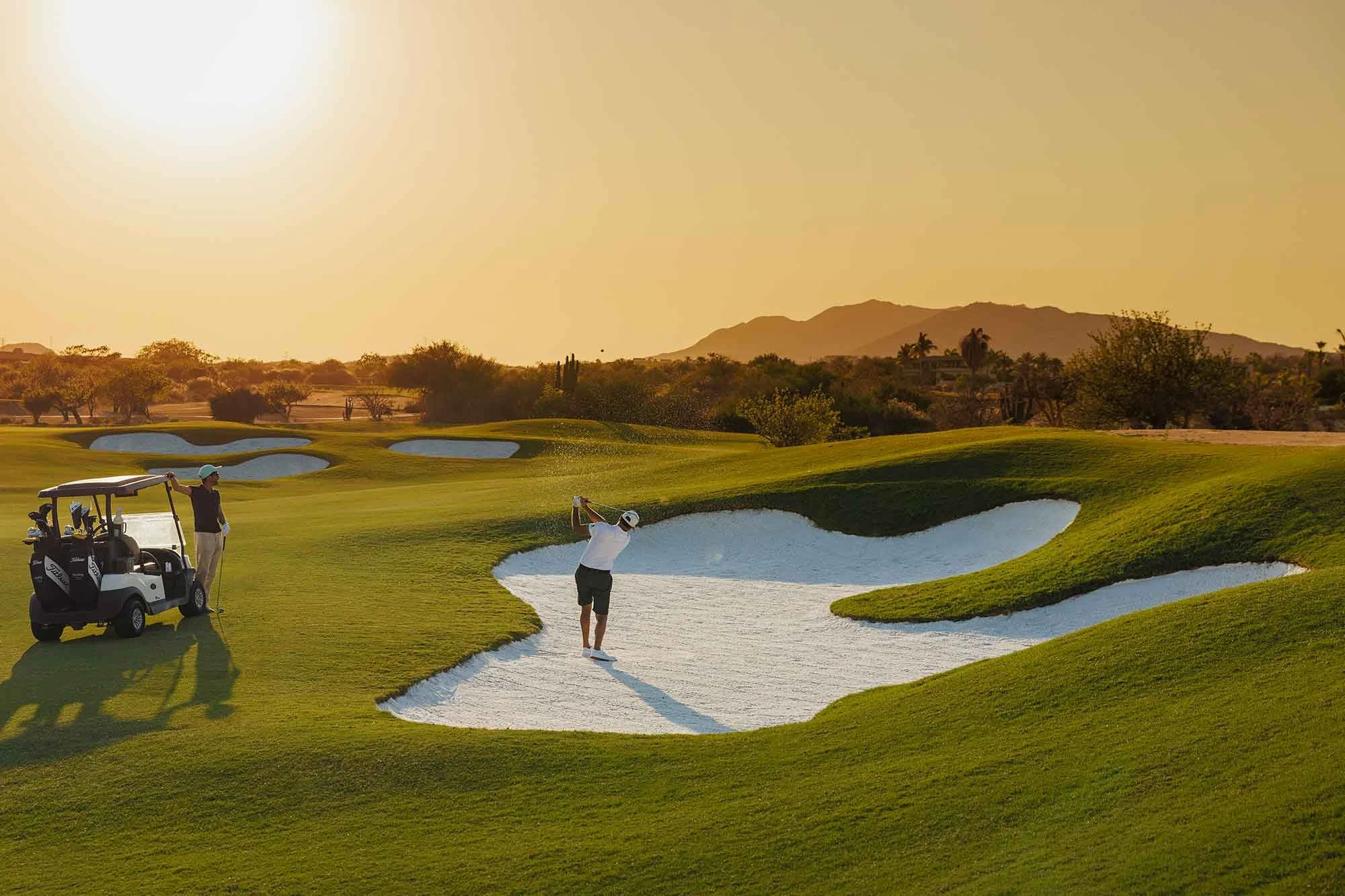 Palmilla