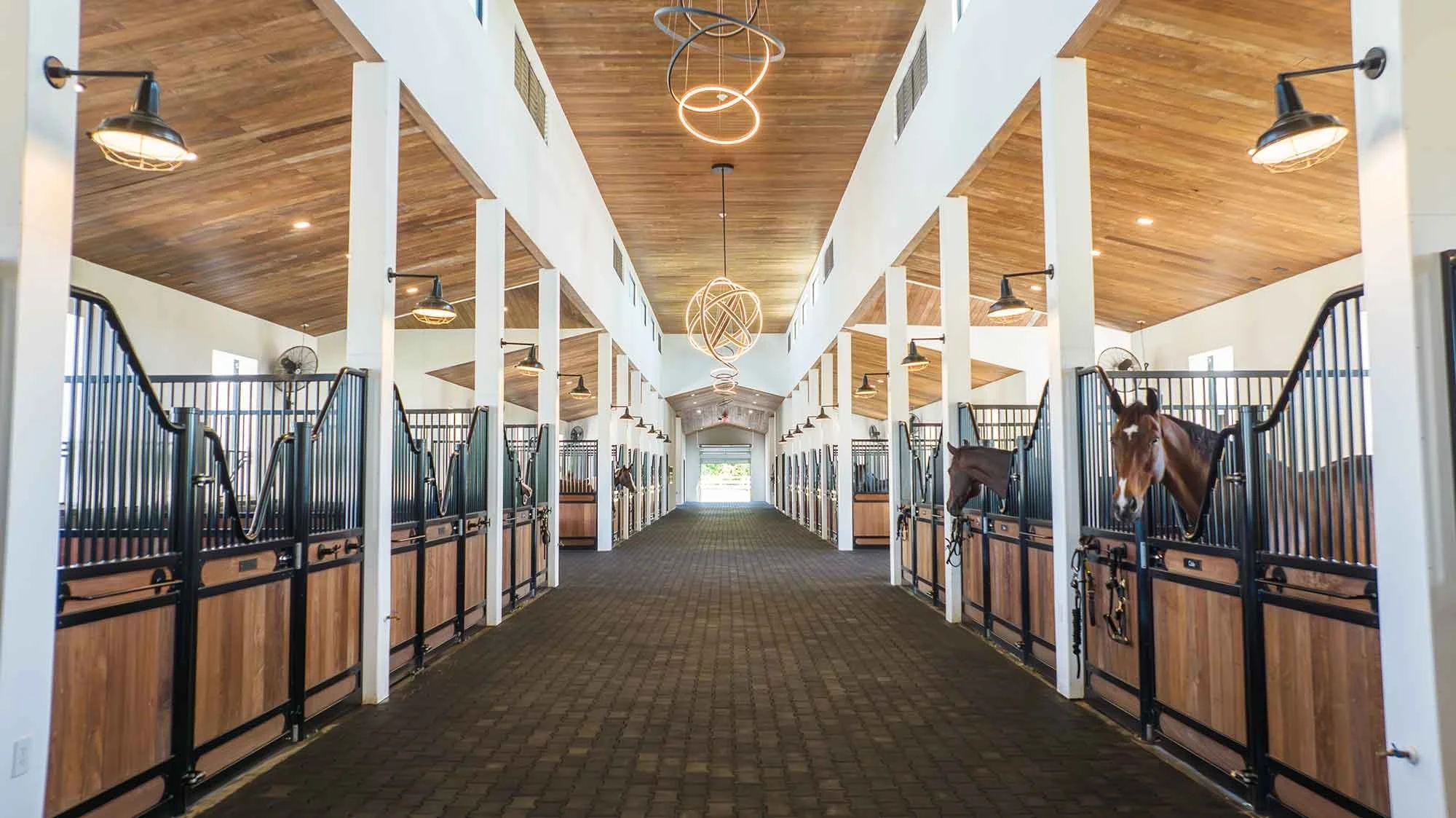 #14_ALB_EquestrianCenterBarn_Romain-Reglade.jpg