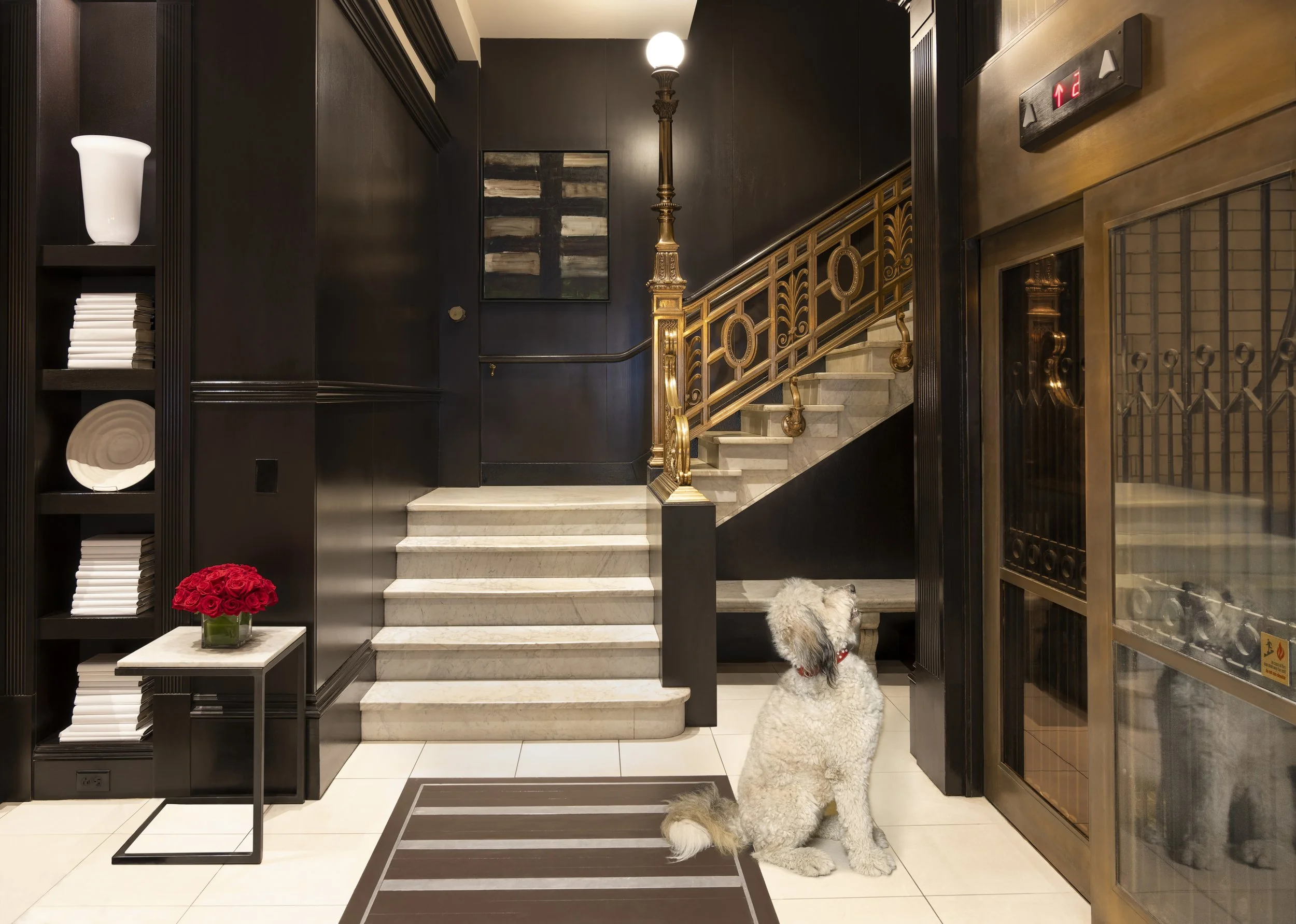 MVC23520010-XV-Beacon-Hotel-Dog-Friendly-Hotel-Elevator.jpg
