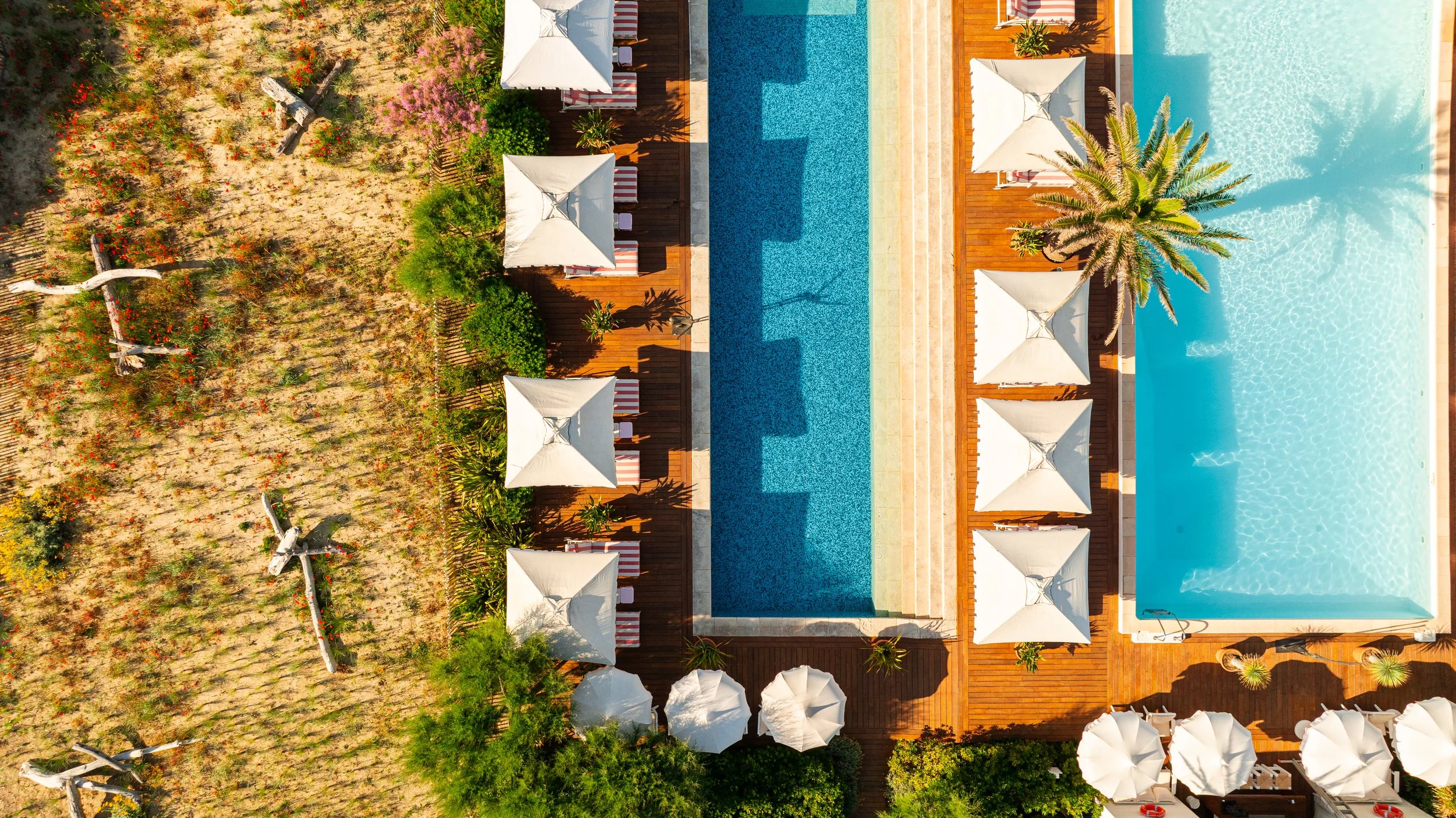 DJI_0890.jpg