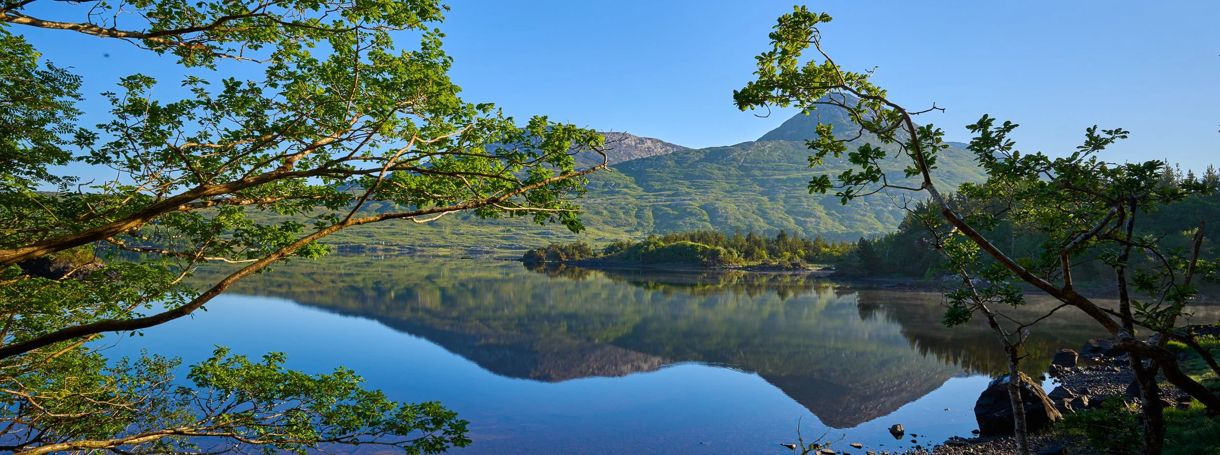 Morning-Lake-View.jpg