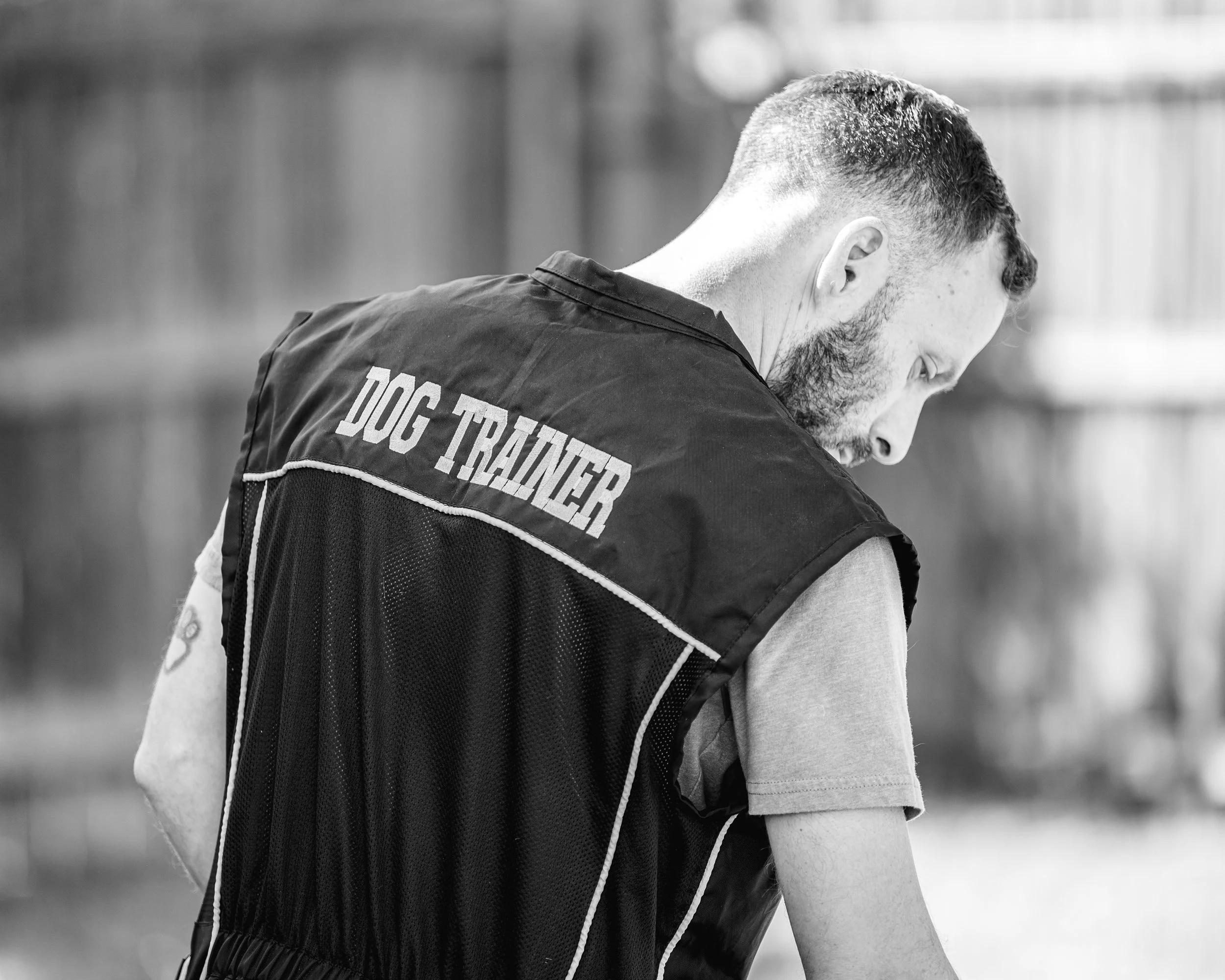 Austin texas Dog Trainer