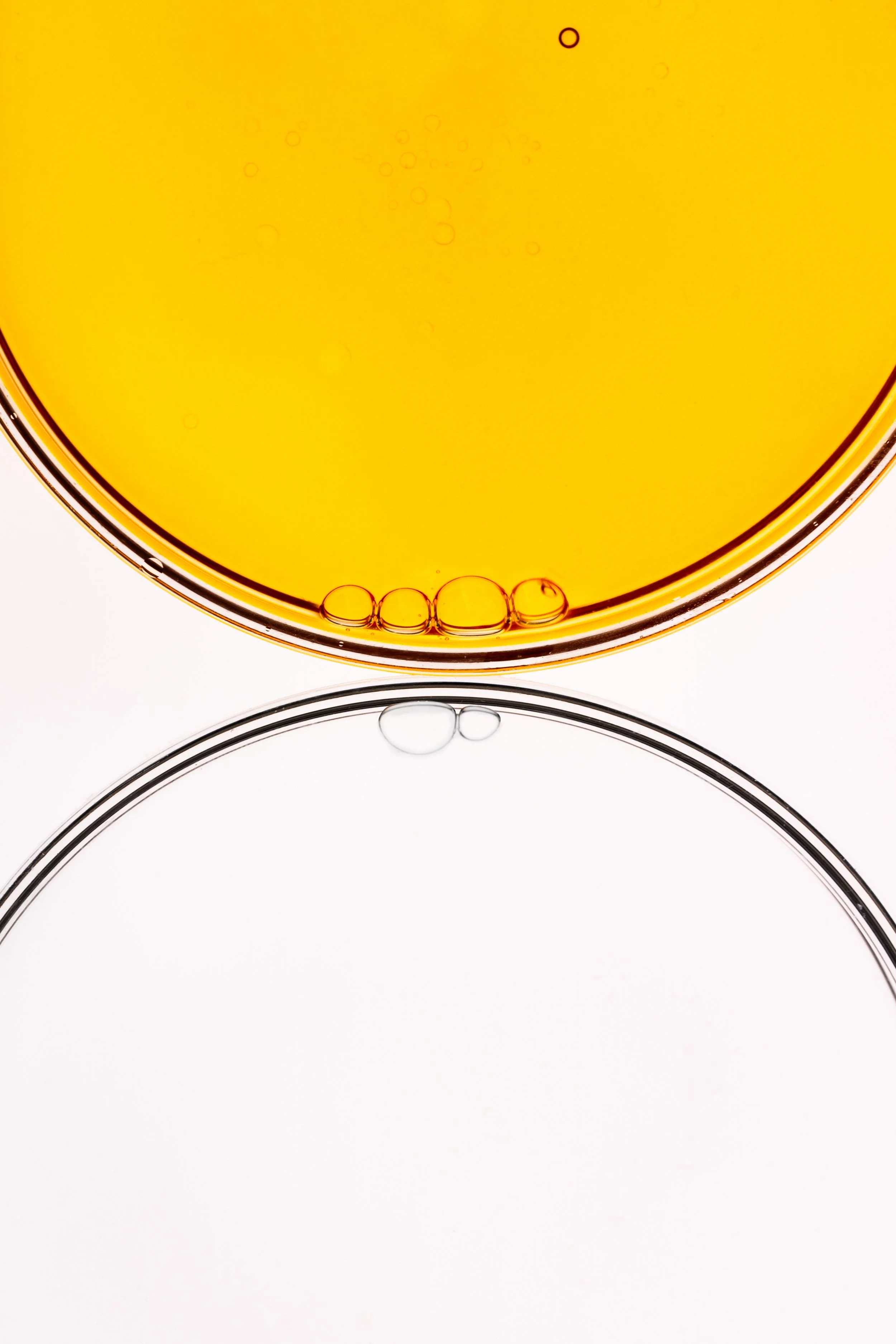 Huile Tan Boost 05.jpg