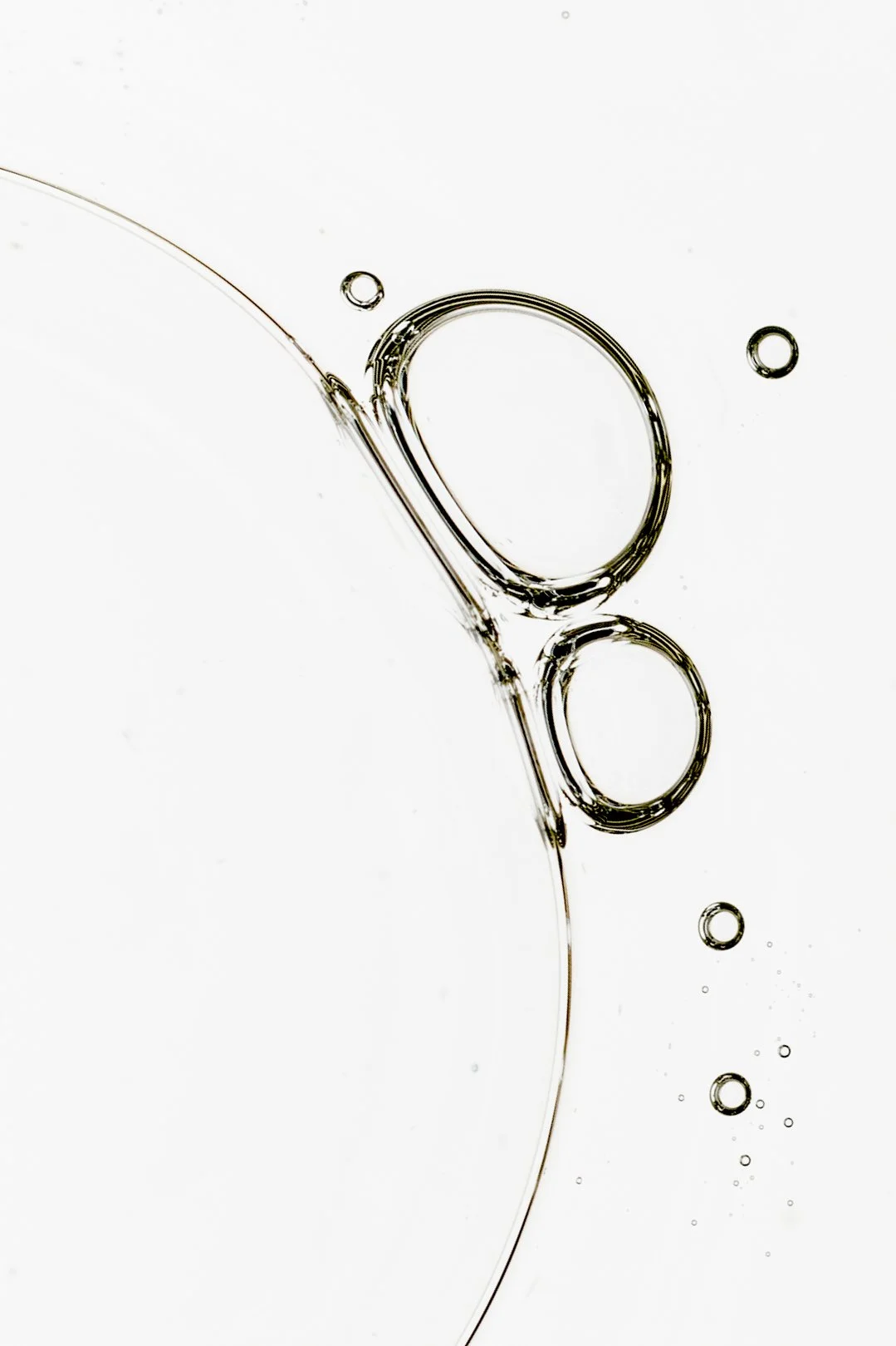 Céline Chappert 2025 18.jpg