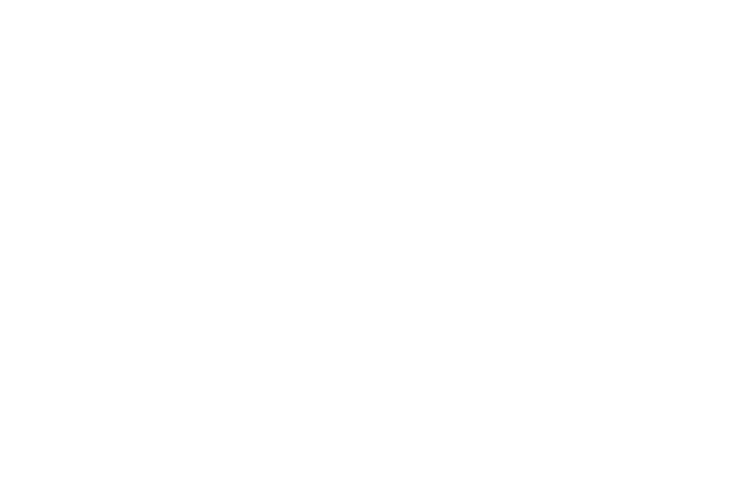 RISE Investments
