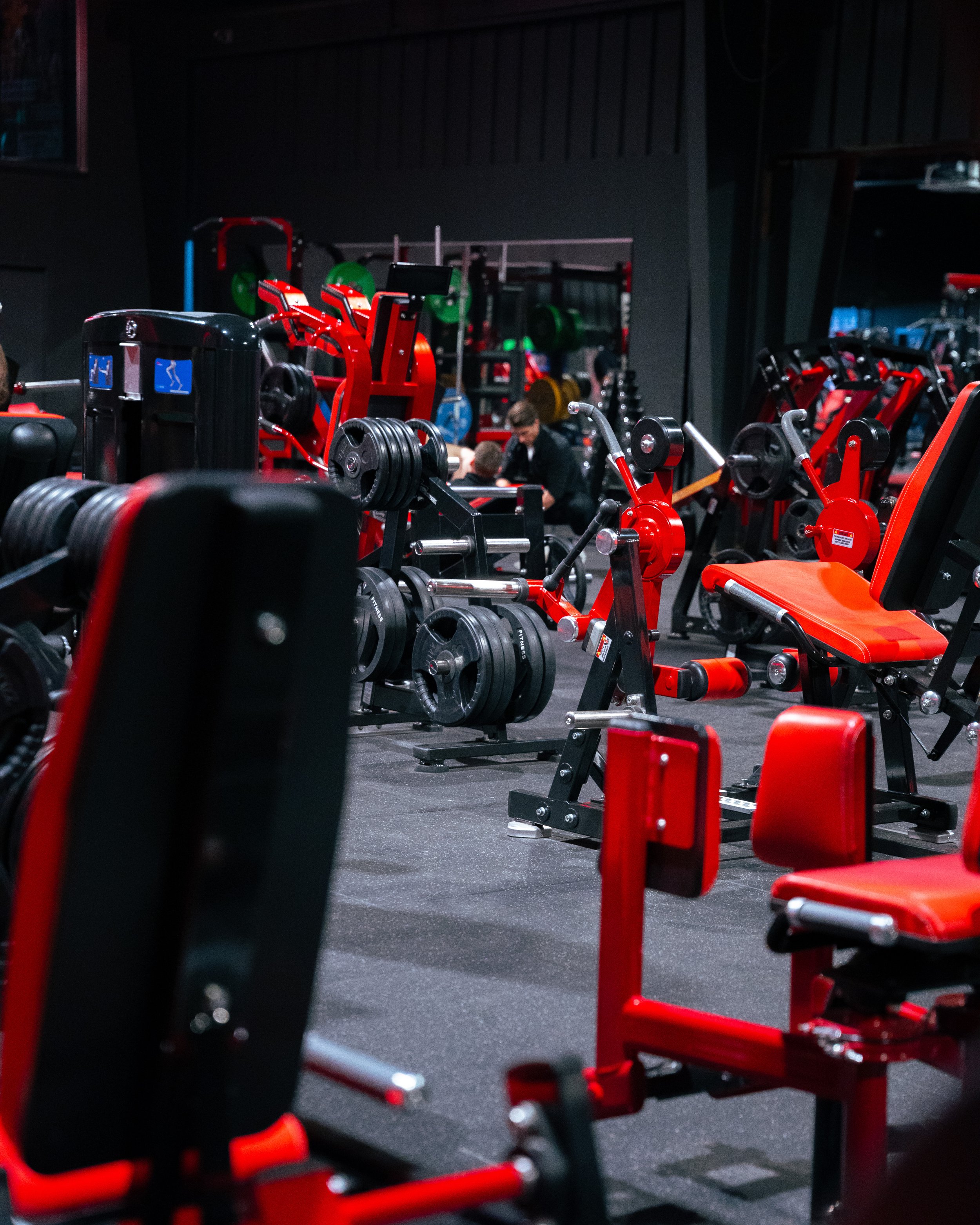 EP - Fresh Pics 4-5  (51 of 67).jpg