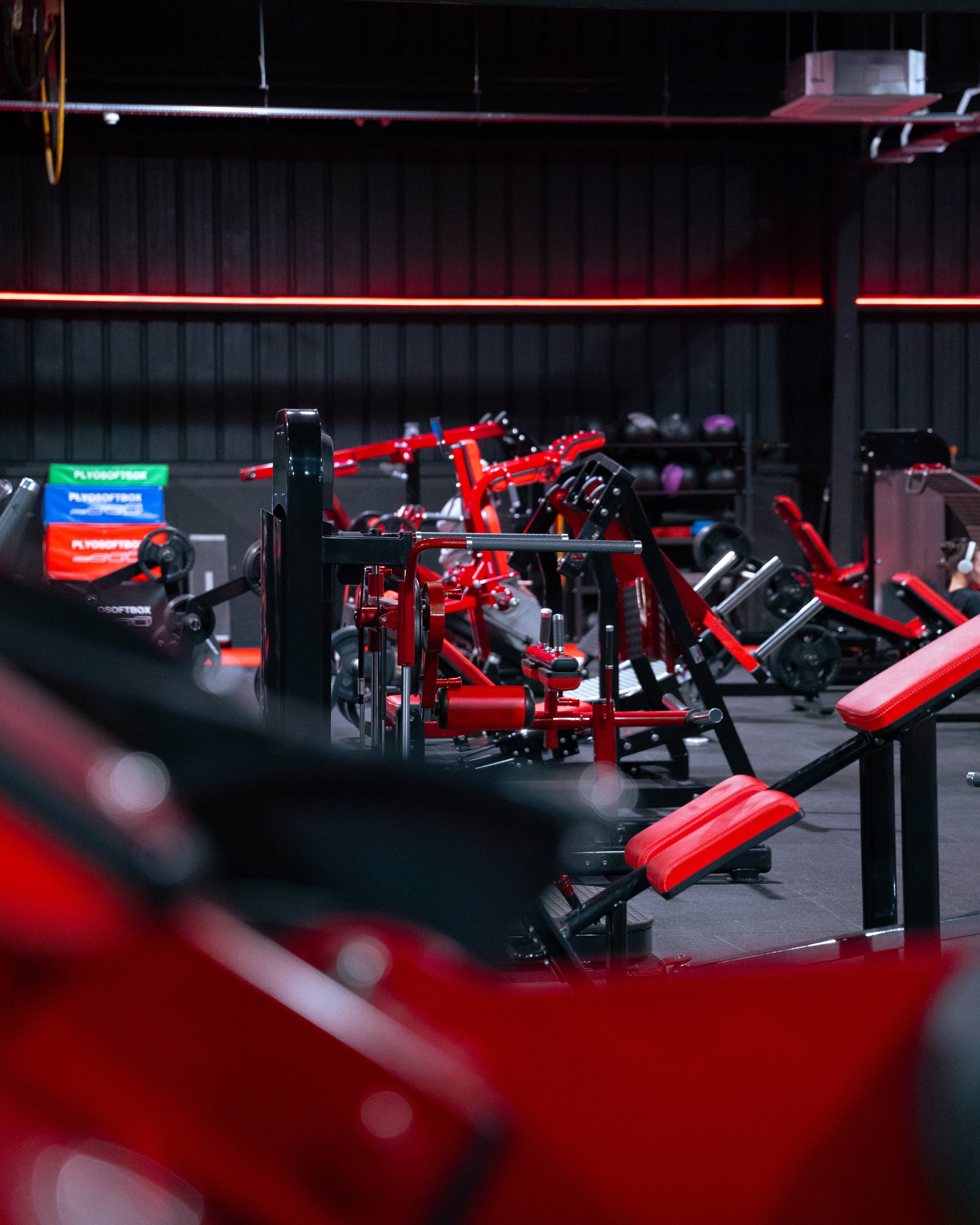 EP - Fresh Pics 4-5  (61 of 67).jpg