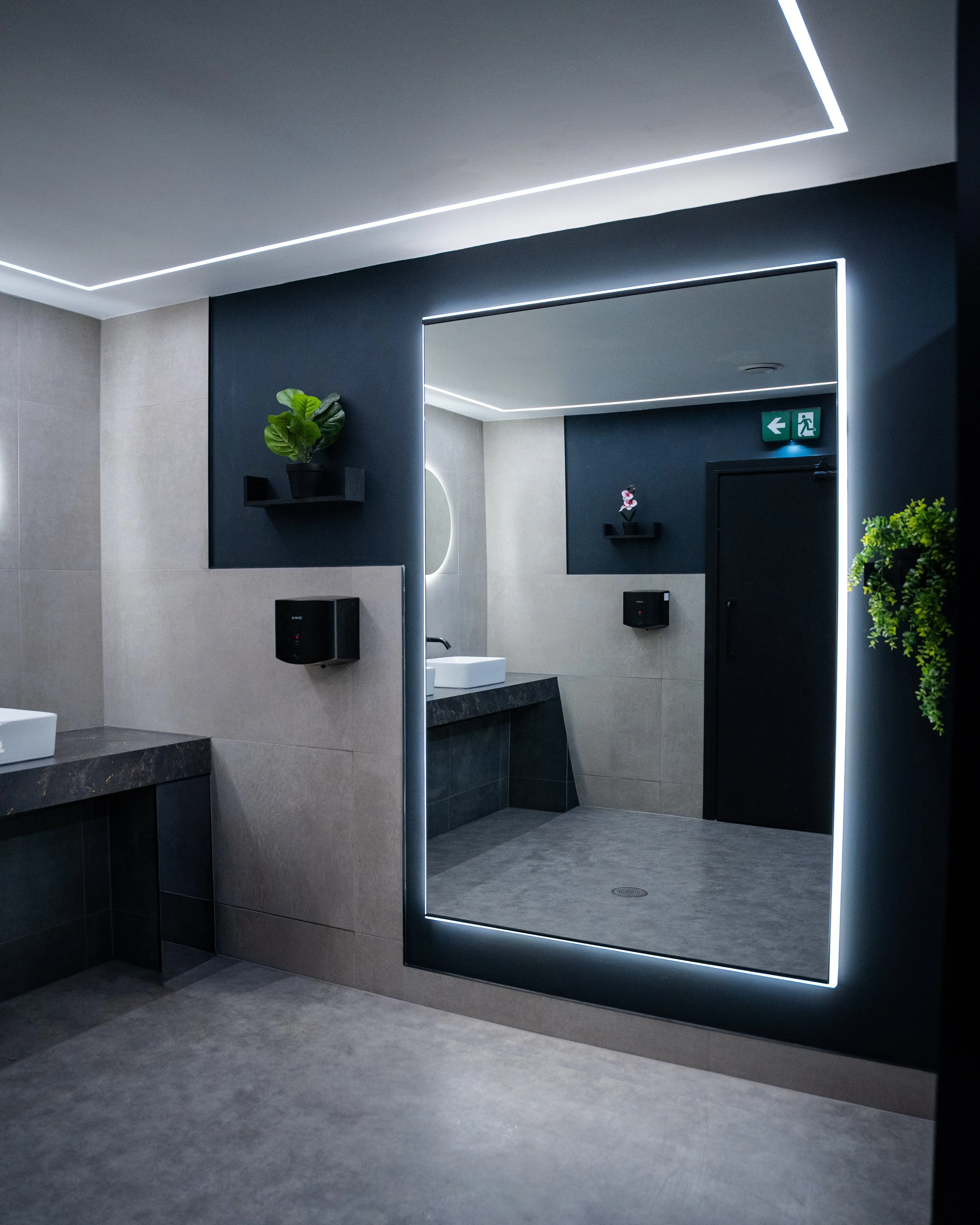 Toilets Rectangle Mirror.jpg