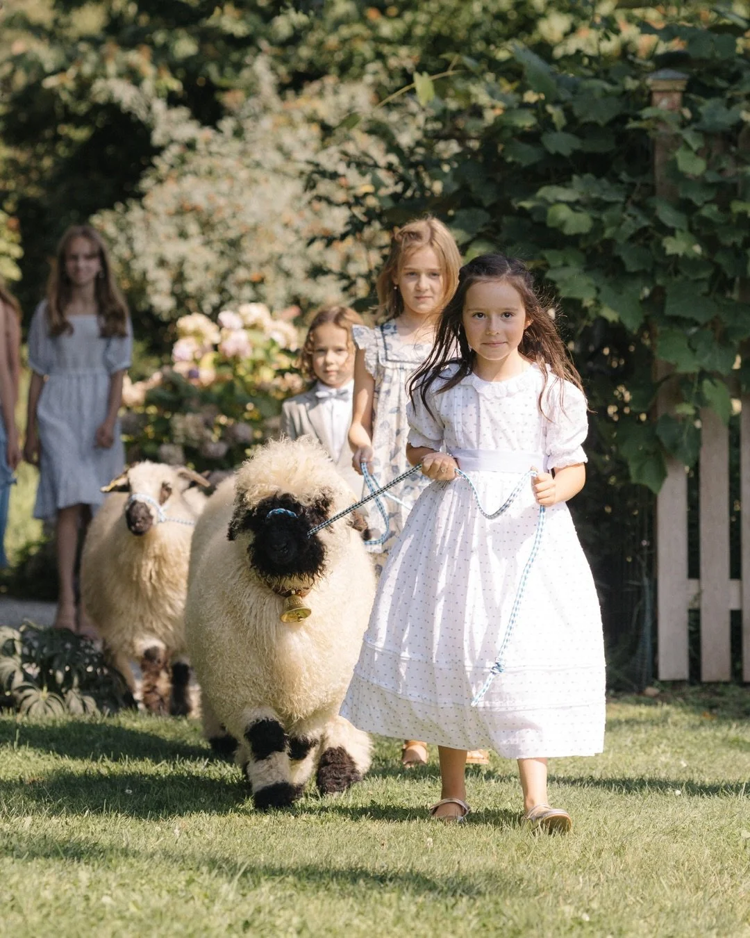 Valais sheep can be a wonderful addition to more than just the farm! 🐑💒

It&rsquo;s safe to say they stole more than a few hearts! Just one word of advice... make sure the bride is okay with not being the only one in white 🐑👰🤍

If you need any m