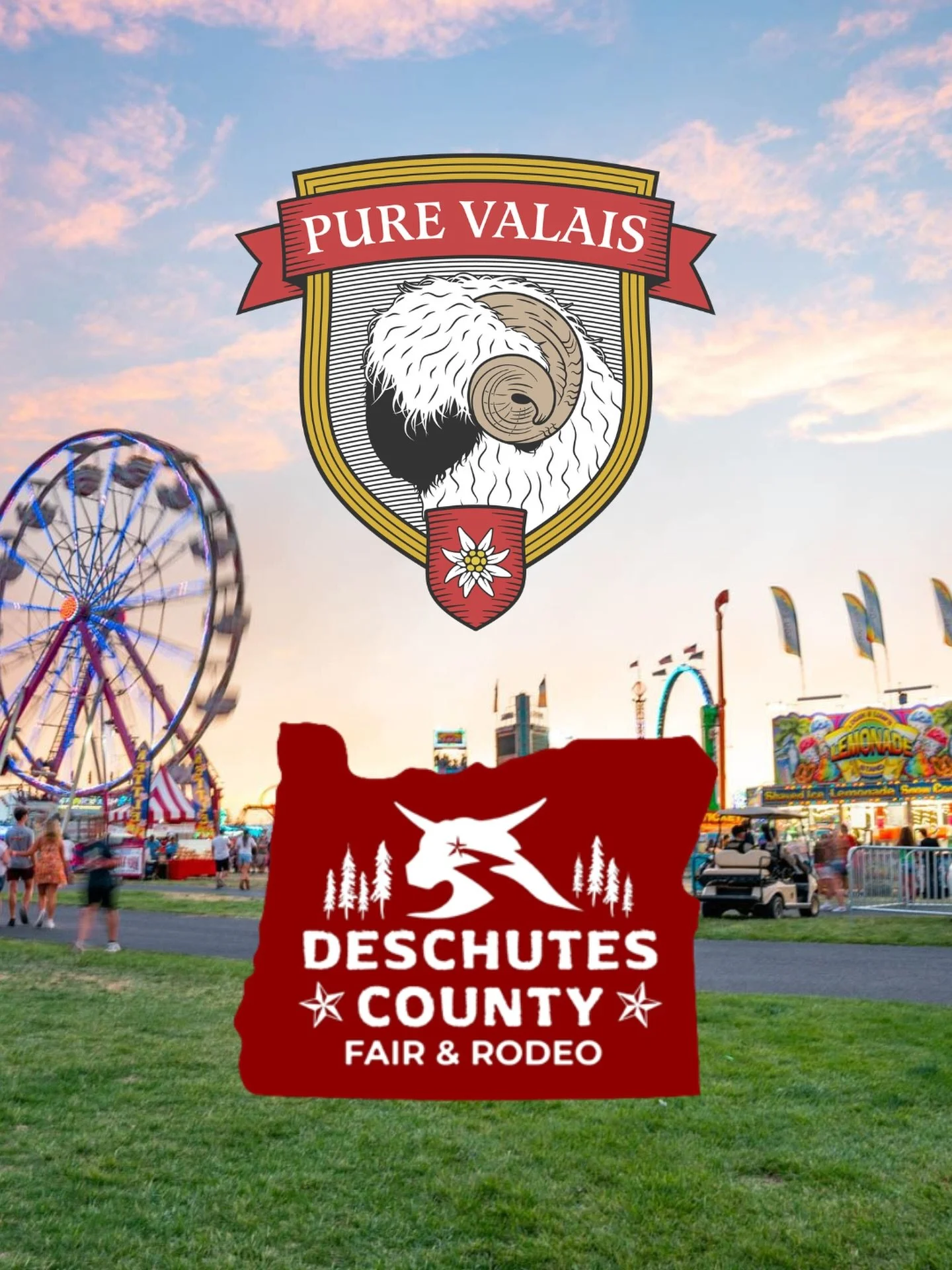Look for Pure Valais at the Deschutes County Fair in Redmond, Oregon this weekend! 🐏🎪🌟

Pure Valais yearling ram Eston, and ewes Extra Specialness, &amp; Eternal Beauty will all be showing at the event. We hope to see you there!

#deschutescounty 