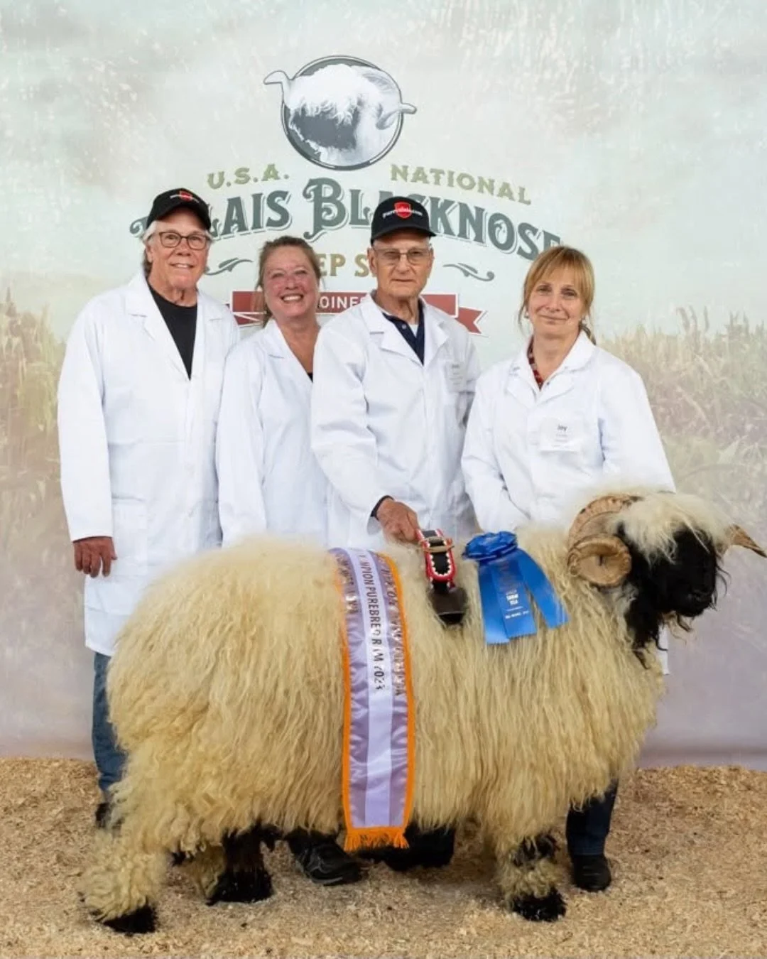 Did you know the Pure Valais flock is split between two farms across the Pacific Northwest? 🐏🌲

Pure Valais is a partnership between @wildrosefarmwhidbey on Whidbey Island, Washington, and @shepherdslane in Lebanon, Oregon. Together, our team bring