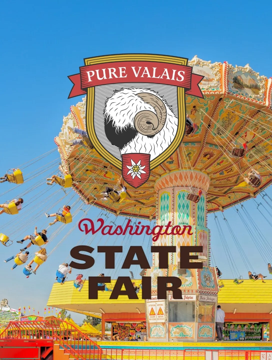 Pure Valais is going to the Washington State Fair in Puyallup!🎡 Come say hi to the sheep this Wednesday thru Friday, and check us out in the ring on Saturday 🐏🎪🎢

#washingtonstatefair #wastatefair #puyallupwa #thingstodoseattle