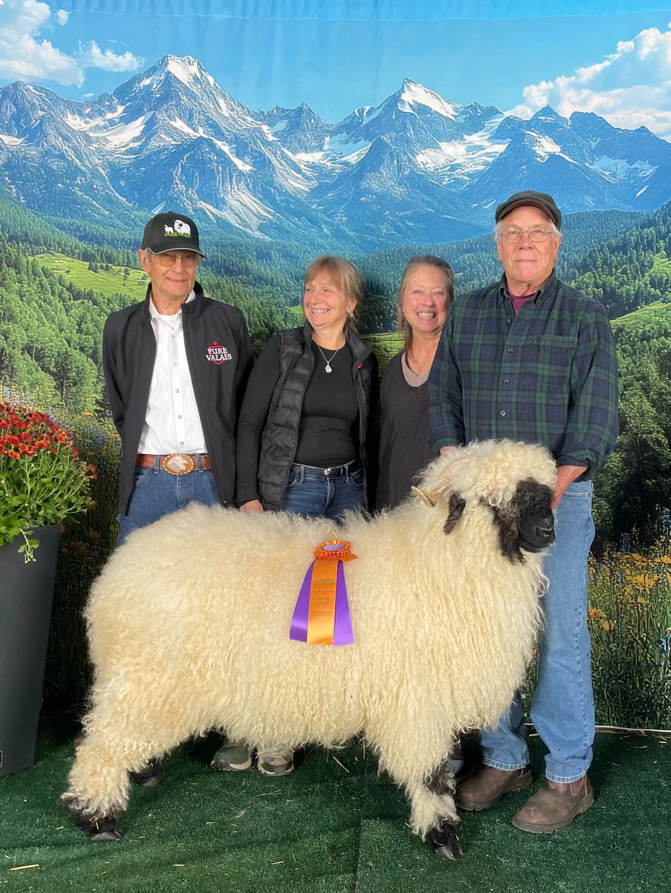 A Grand Champion title to conclude a wonderful experience at the Washington State Fair! 🏆🐑✨

We&rsquo;re incredibly proud to have our Pure Valais yearling ewe, Emma, win the title of Grand Champion and we loved having the opportunity to share our s