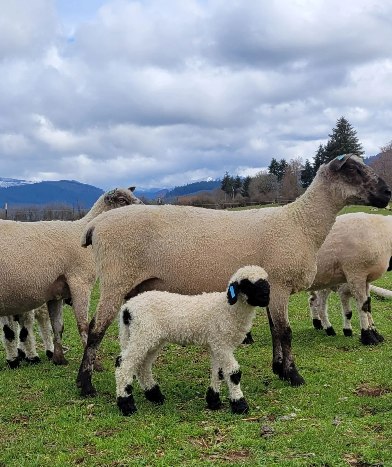 1467764348355065667 2.JPG