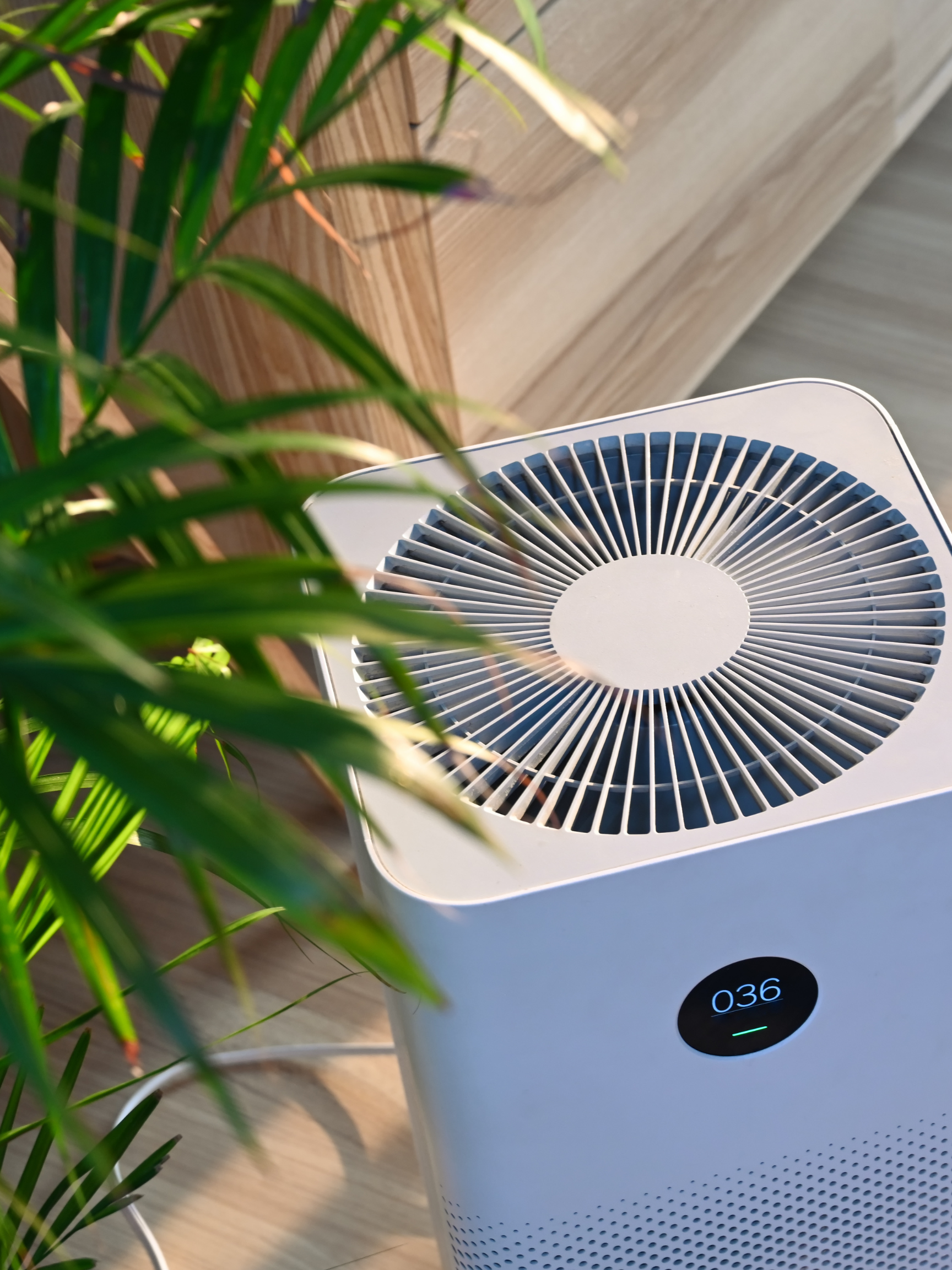Home Air Pollution &amp; Purifiers
