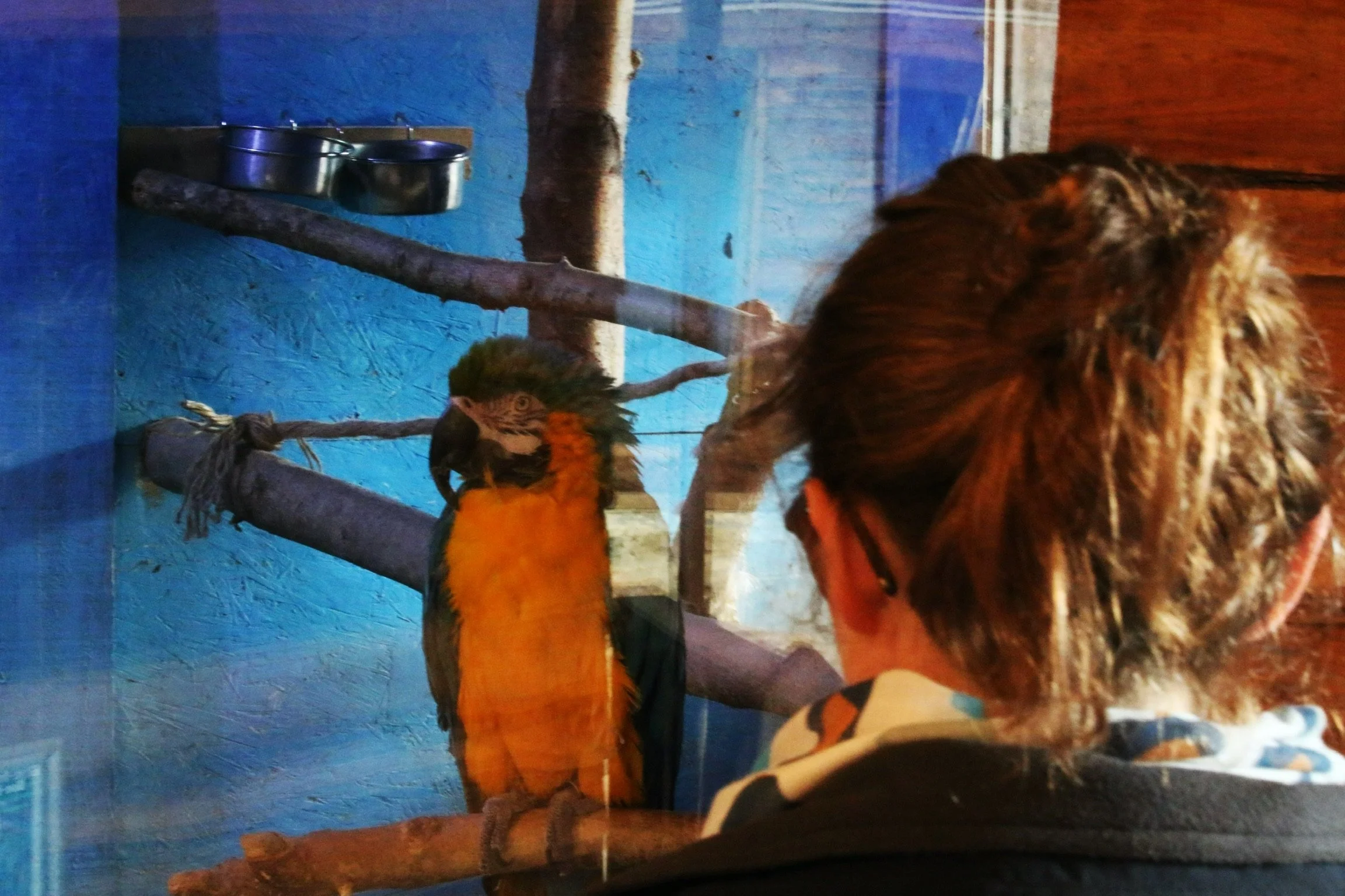 The Power of Artist Dates