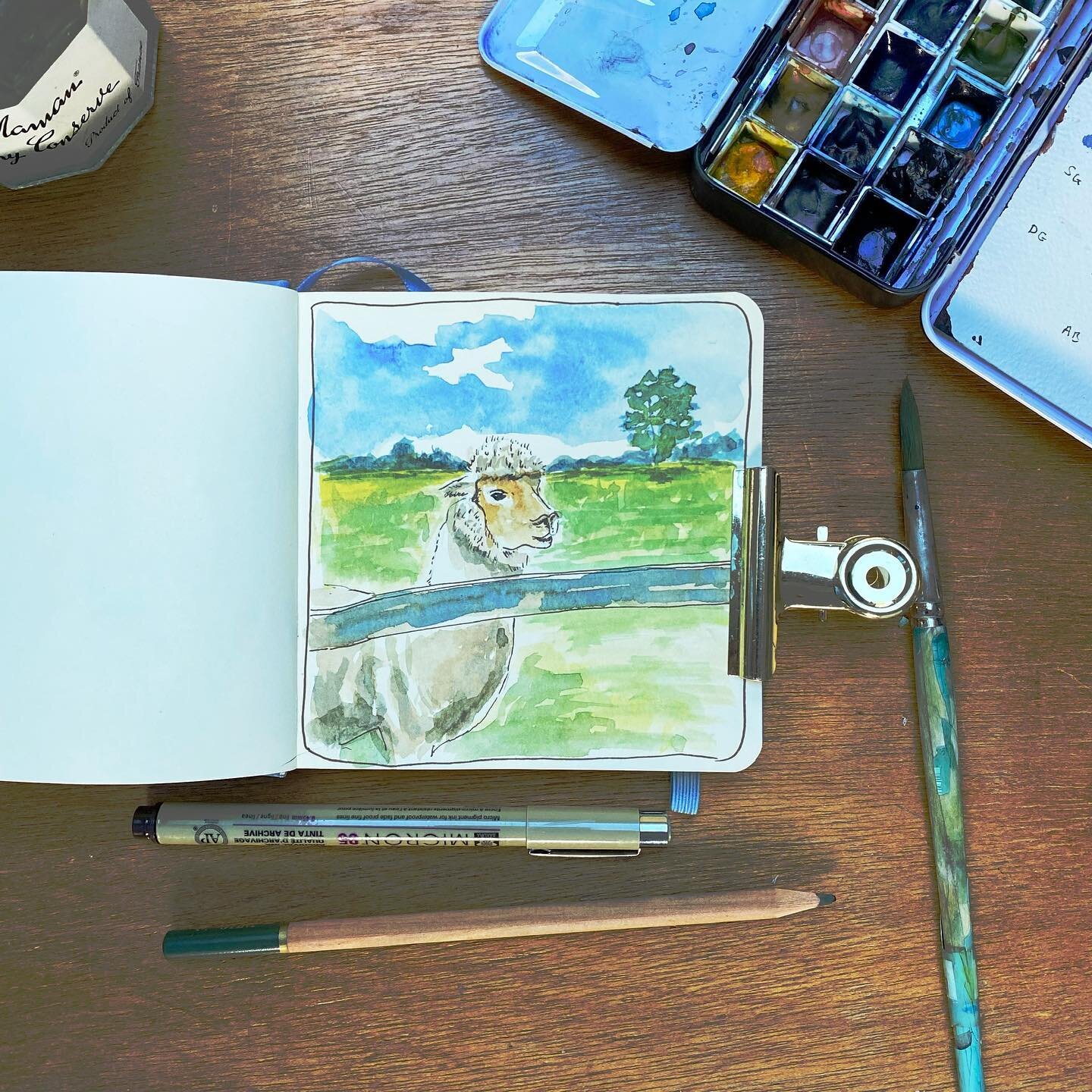 How cute are alpacas? OnFriday I went to the Peterley Manor Farm to a Christmas market which was awesome but we also took a walk to look at the alpacas and I couldn&rsquo;t resist taking some pics to draw from. 54/100

#alpacas #peterleymanorfarm #sk