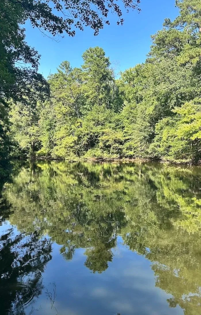Trees reflected in a lake in the Mariners' Museum Park in Newport News, Virginia