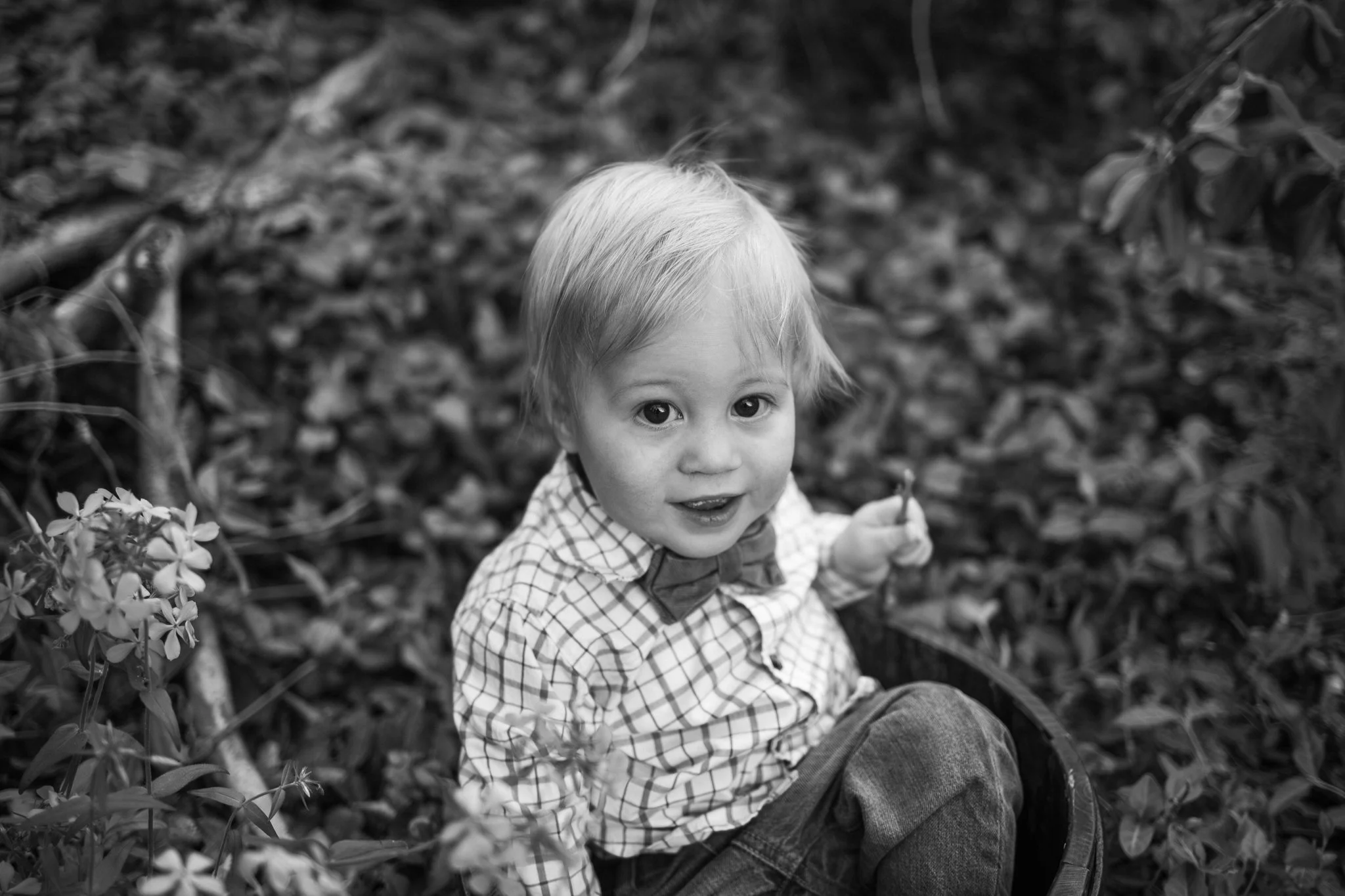 webgreene2026BW.17.jpg