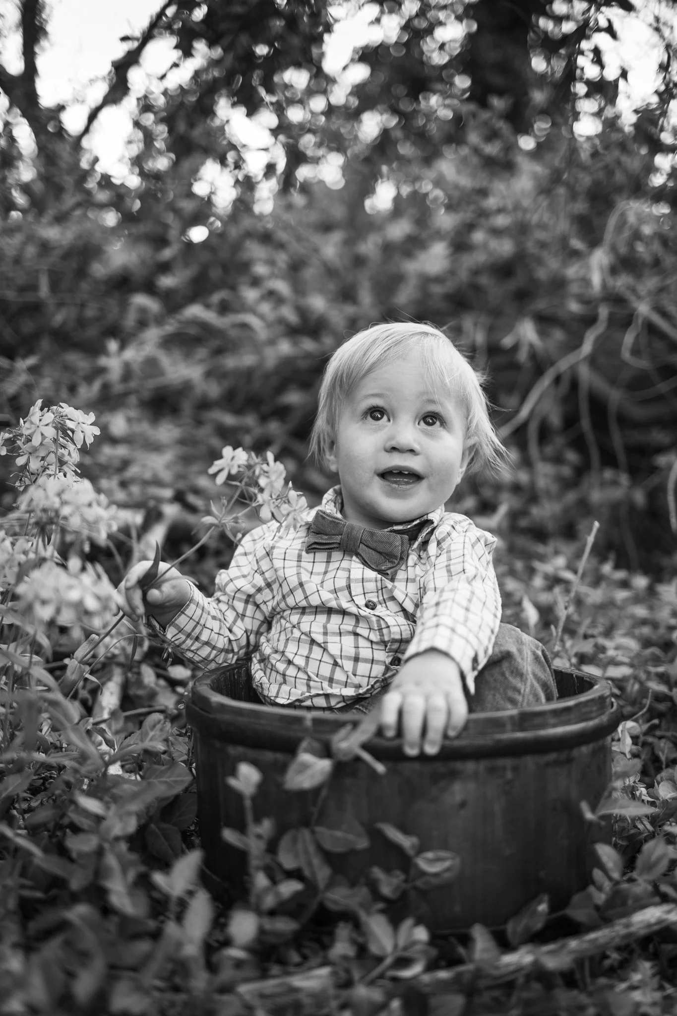 webgreene2026BW.11.jpg