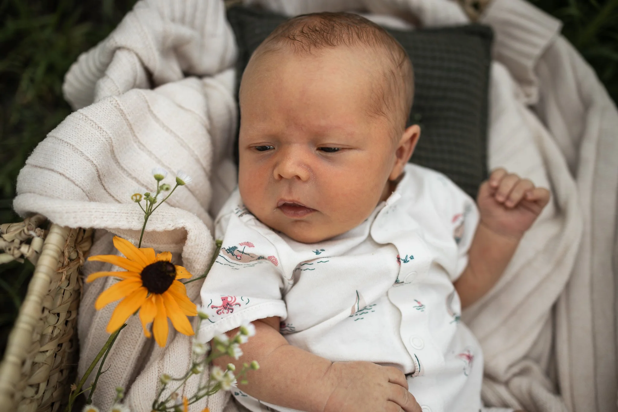arthurnewborn2026web.24.jpg