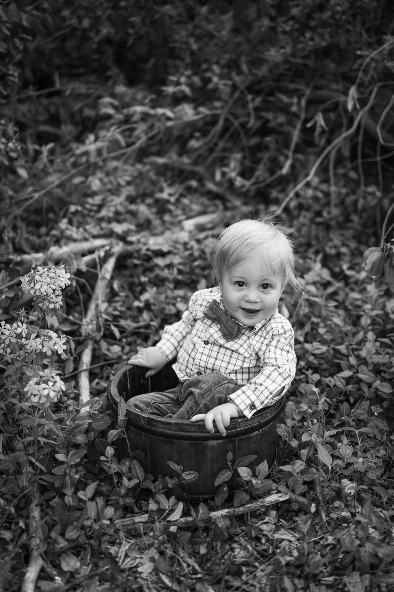 webgreene2026BW.4.jpg