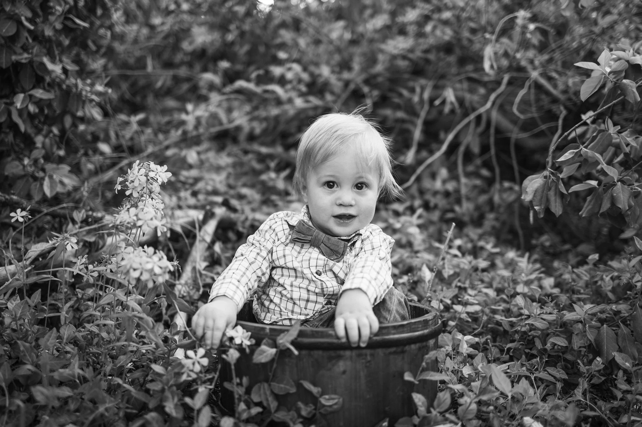 webgreene2026BW.14.jpg