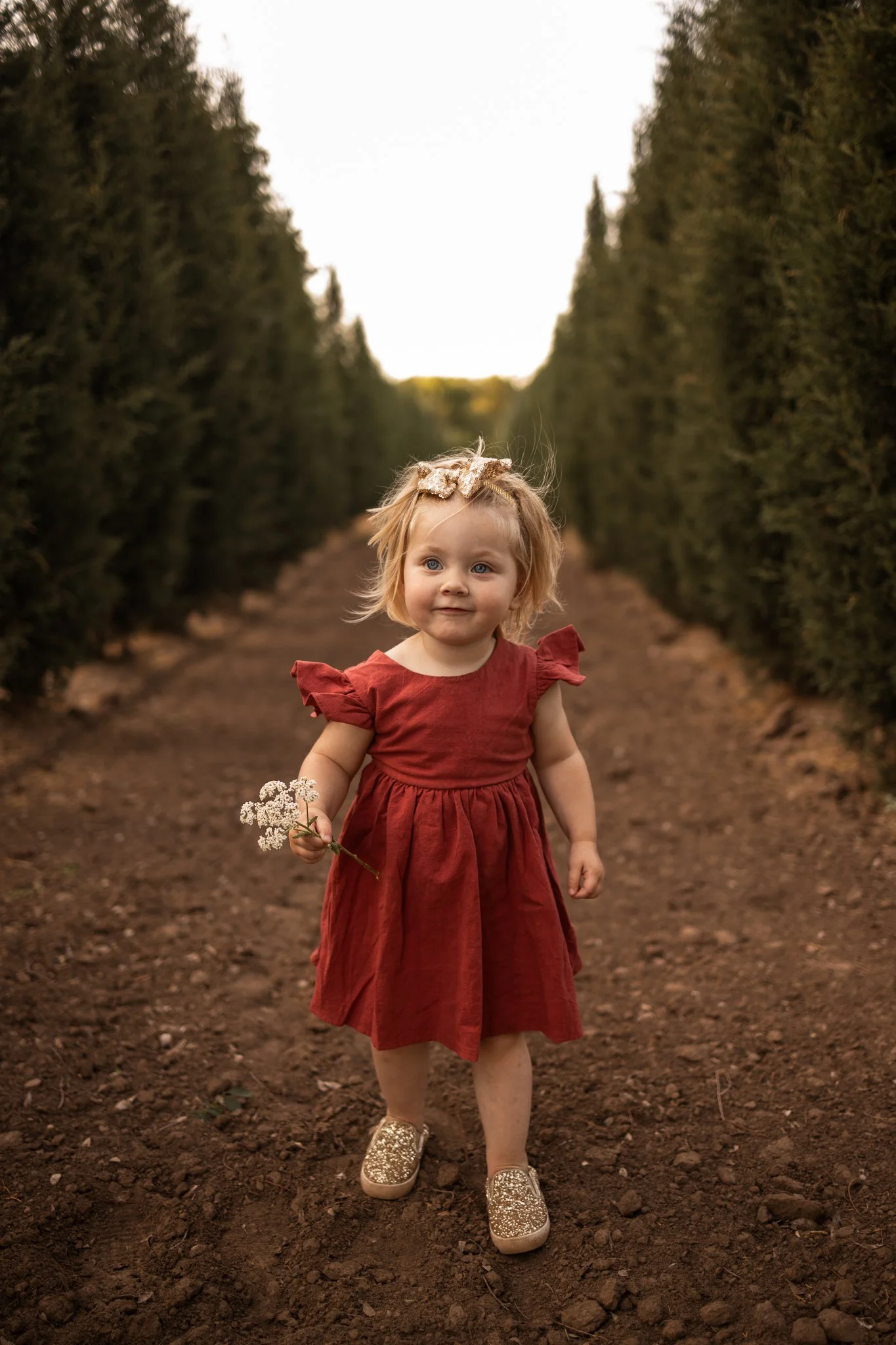webBrair2Years2026.114.jpg