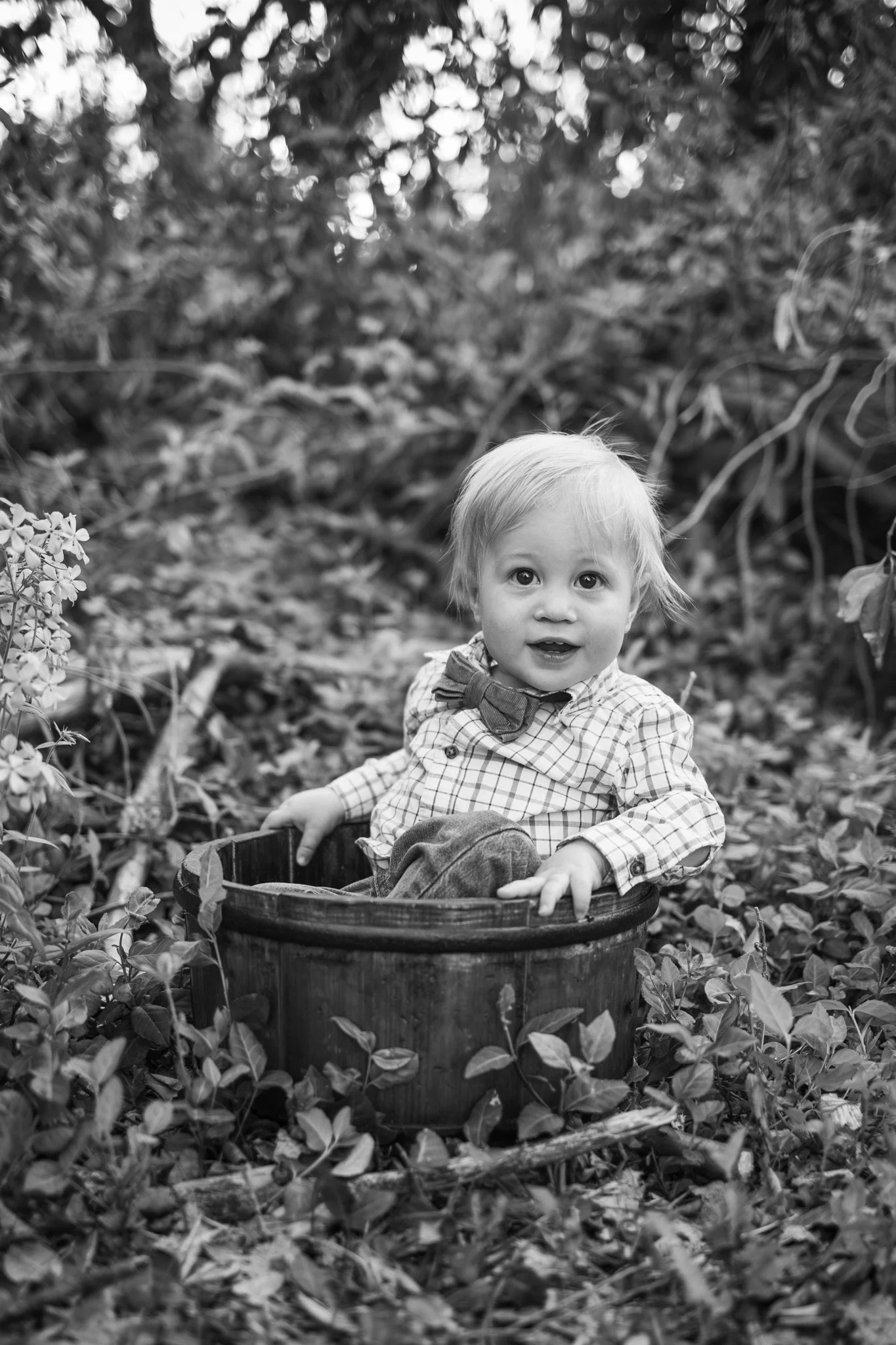 webgreene2026BW.1.jpg
