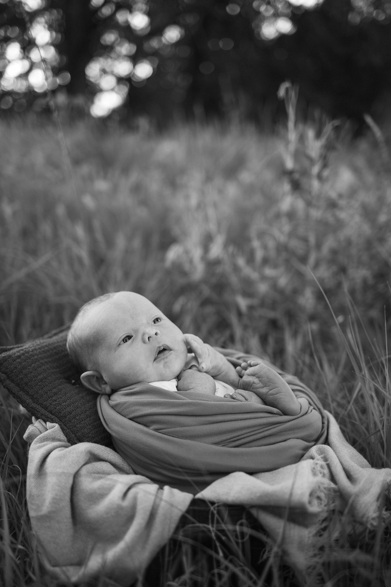 arthurnewborn2026web.200.jpg