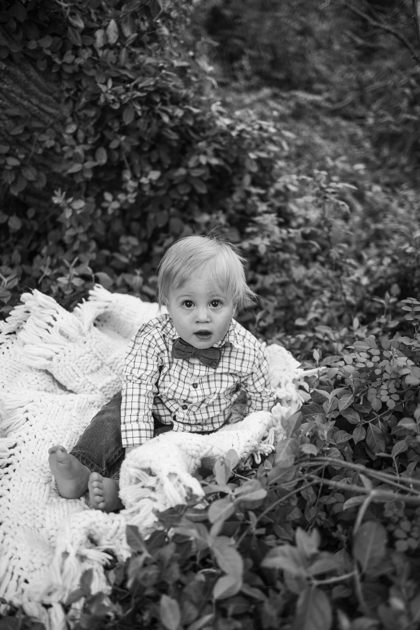 webgreene2026BW.18.jpg