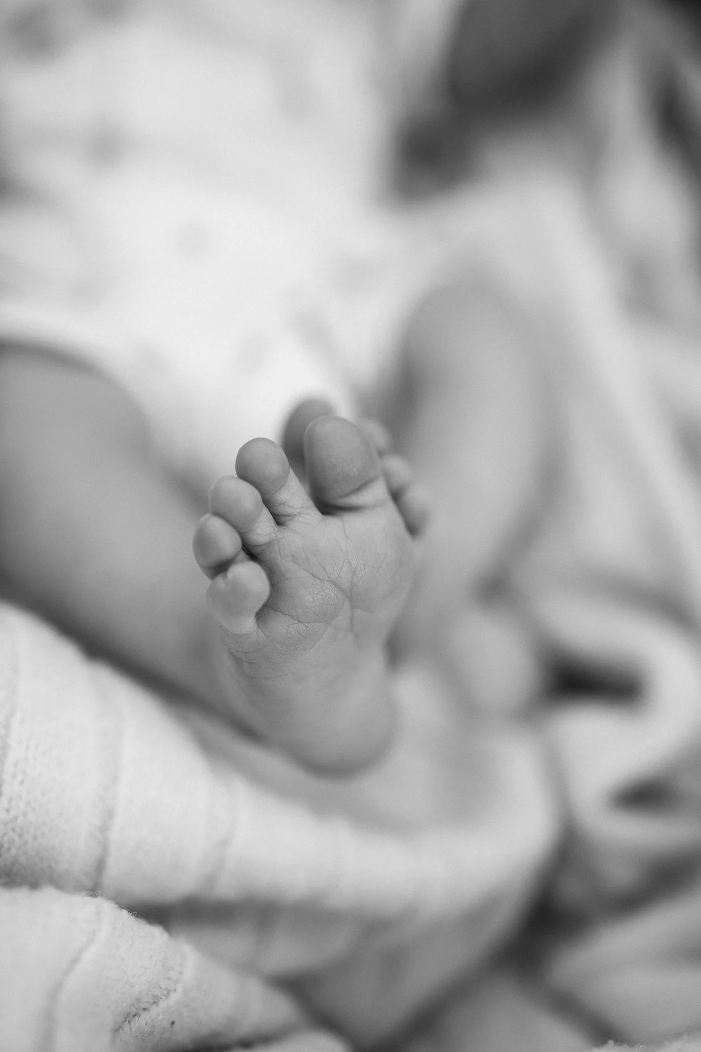 arthurnewborn2026web.22.jpg
