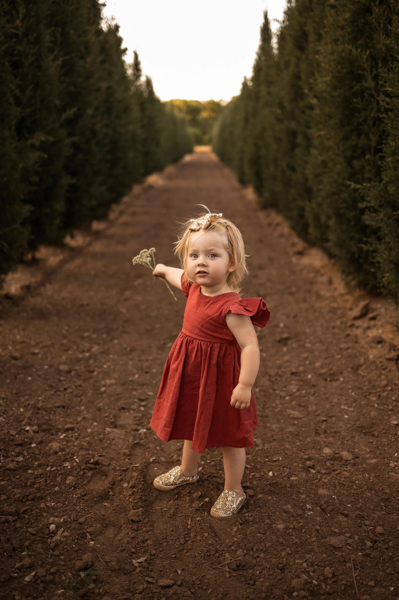 webBrair2Years2026.115.jpg