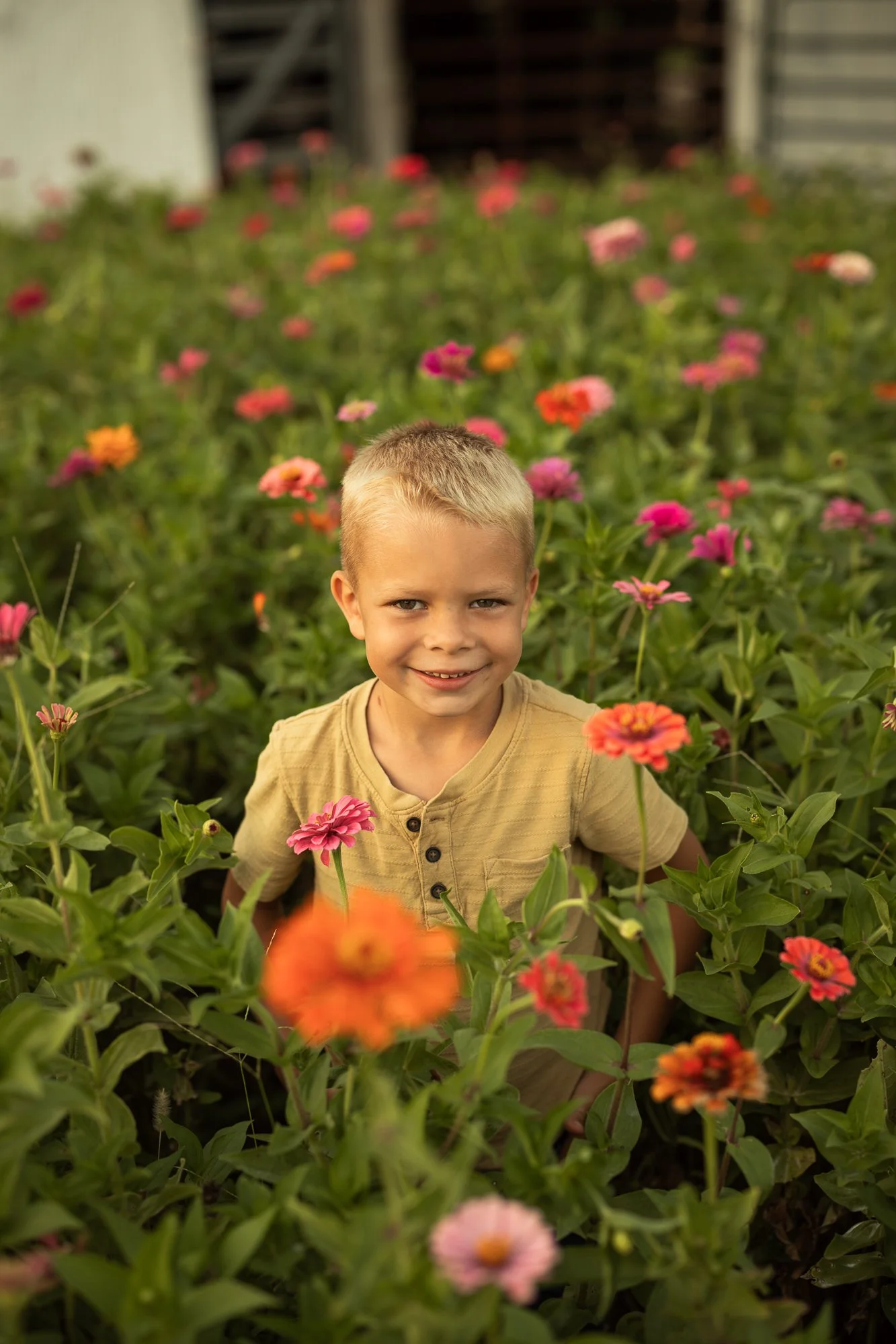 Dinicolaweb2026.127.jpg