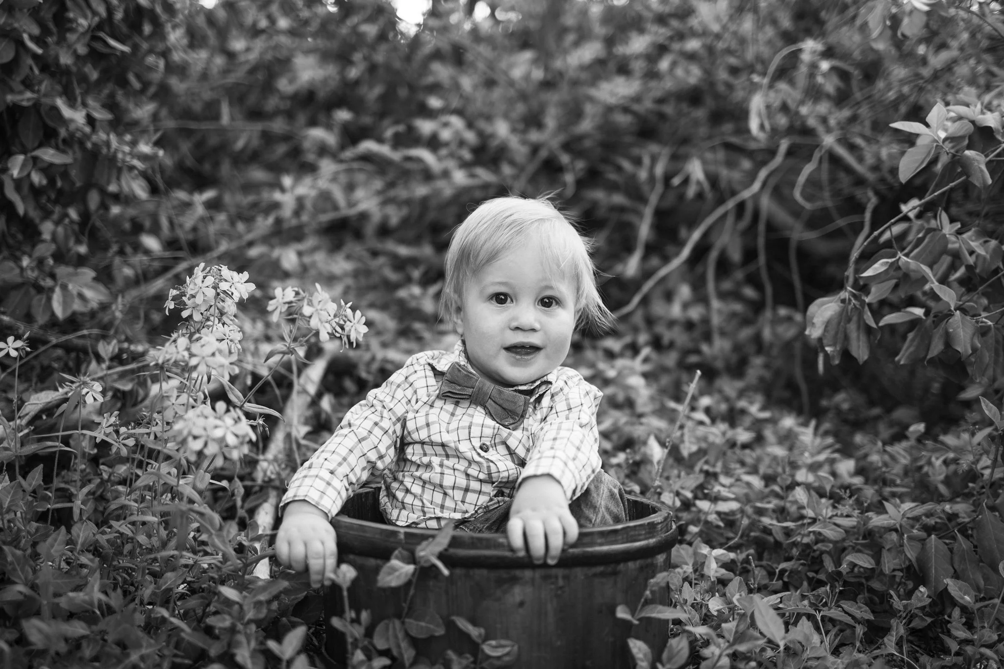 webgreene2026BW.15.jpg