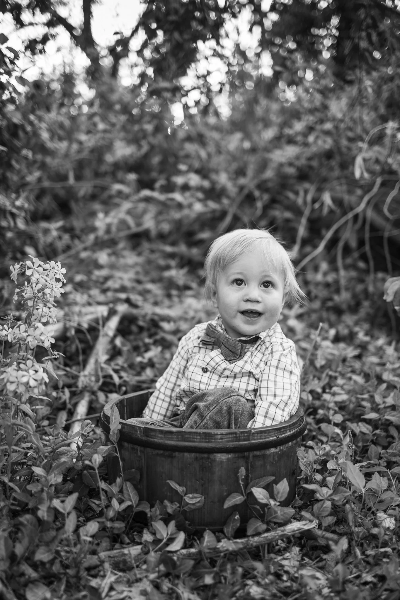webgreene2026BW.8.jpg