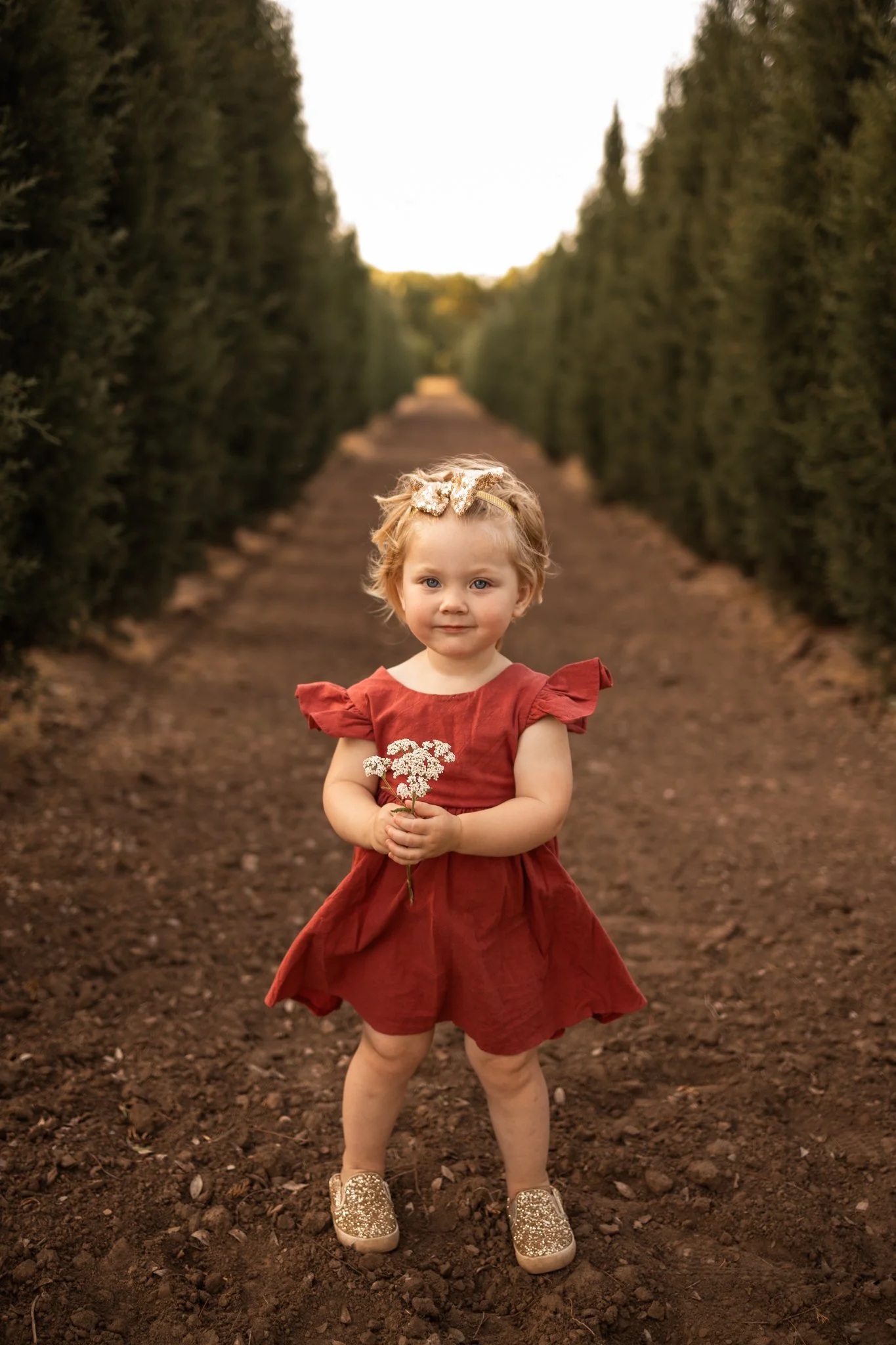 webBrair2Years2026.118.jpg