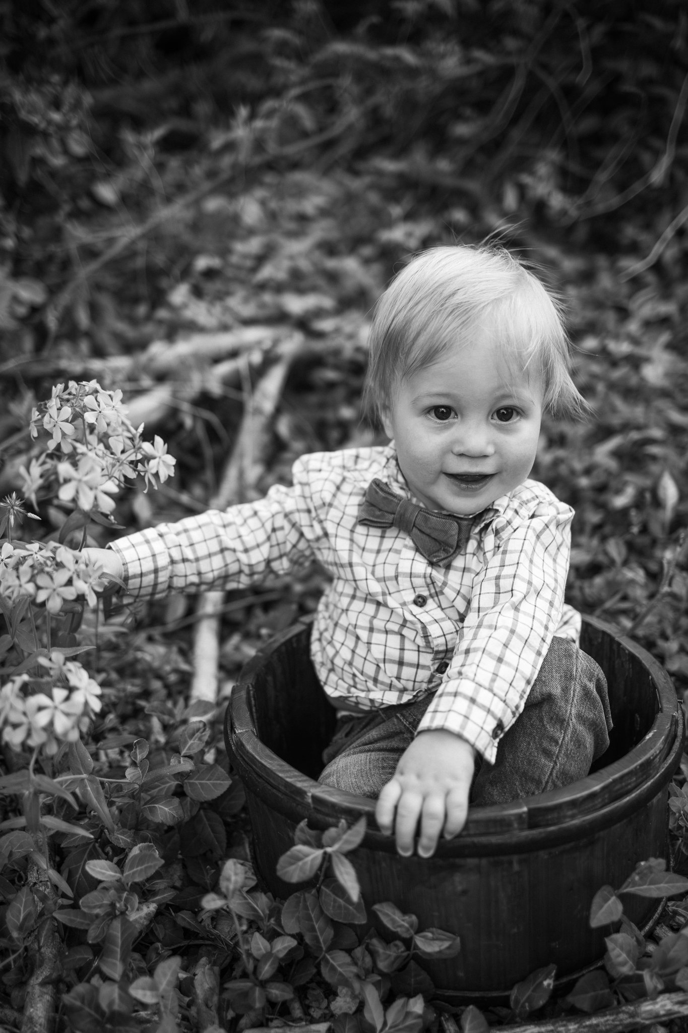 webgreene2026BW.10.jpg