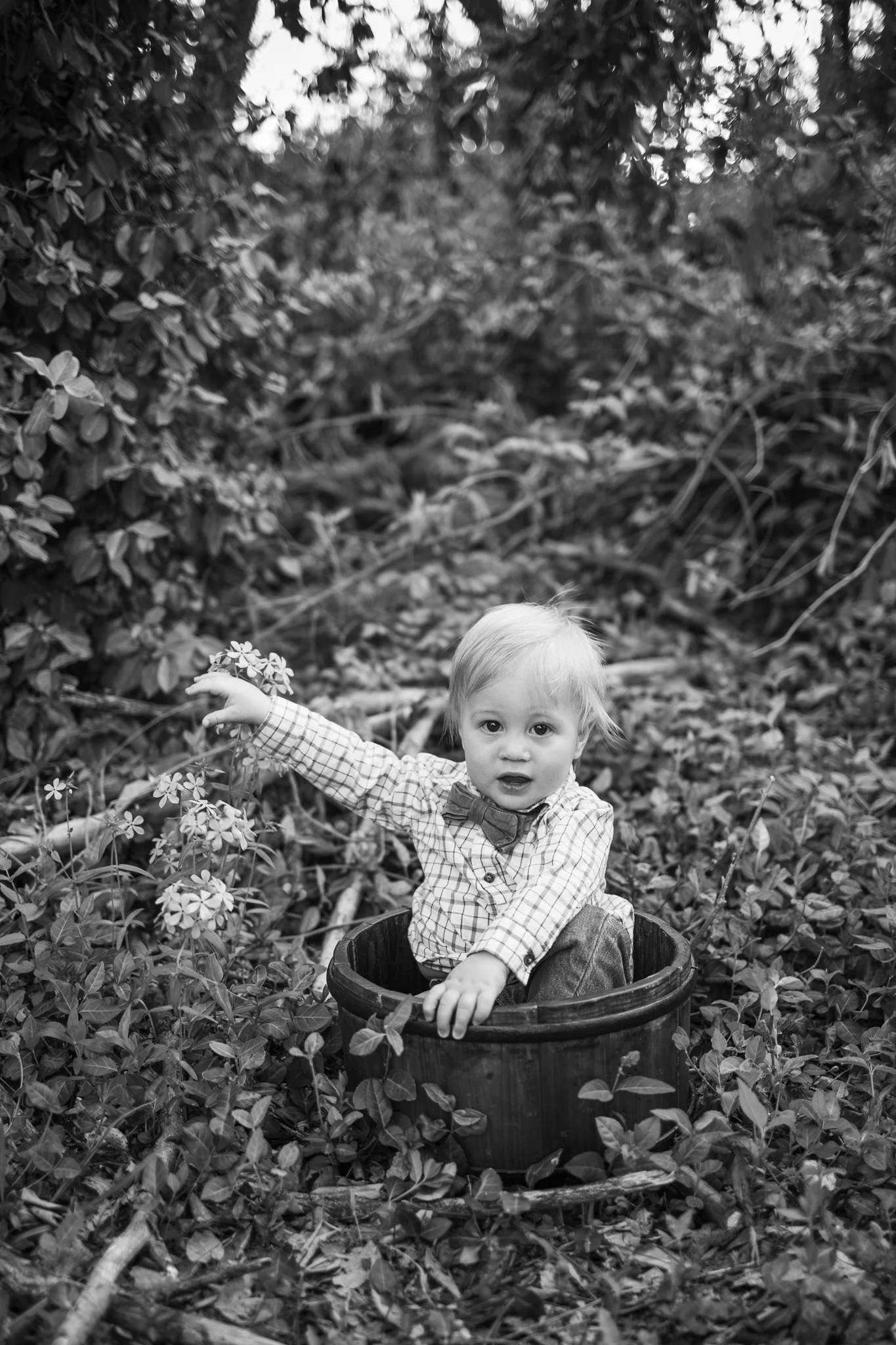 webgreene2026BW.9.jpg