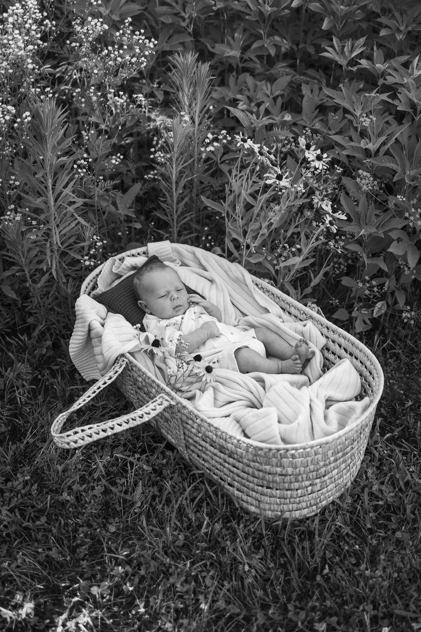 arthurnewborn2026web.26.jpg