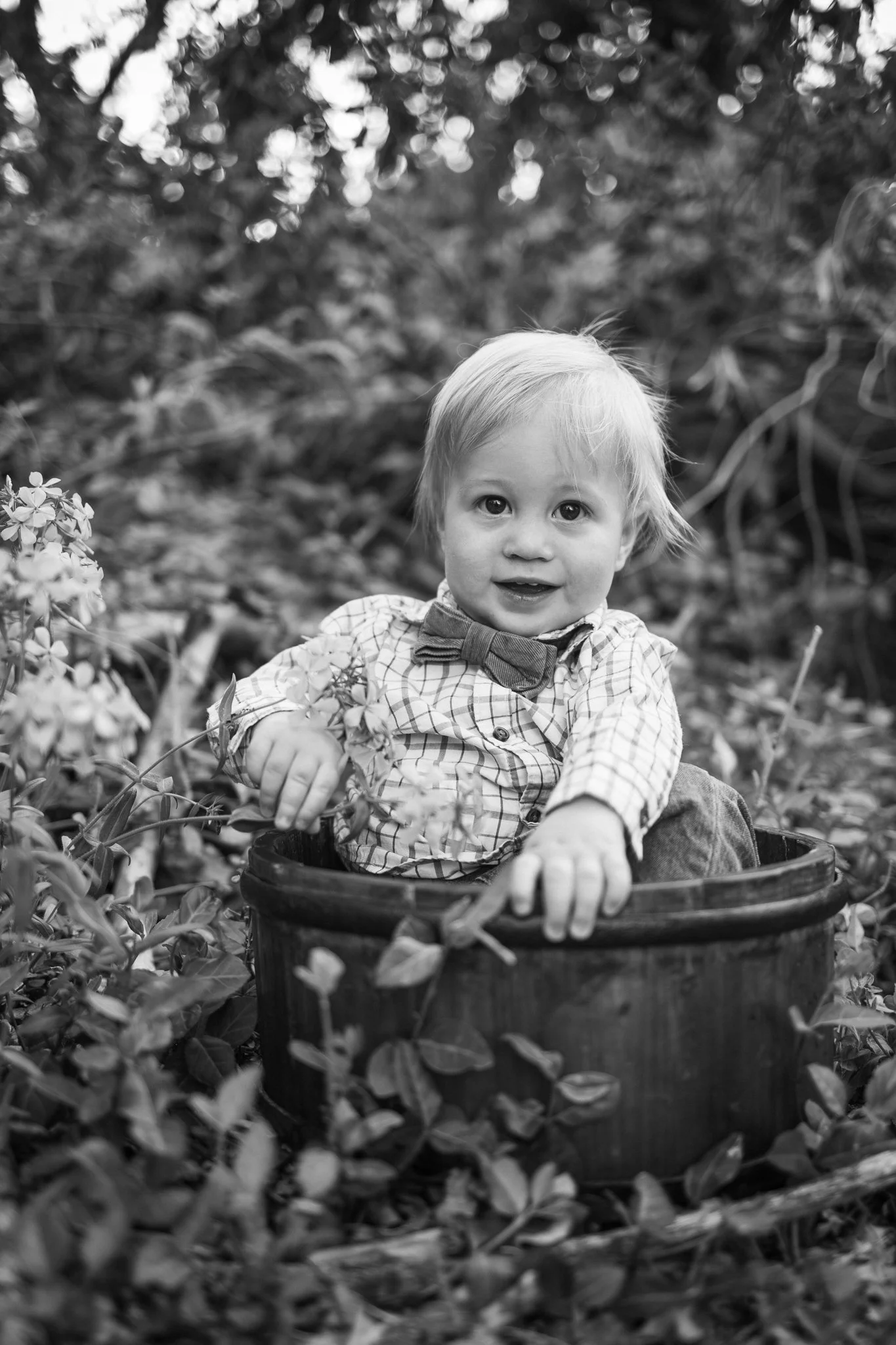 webgreene2026BW.12.jpg