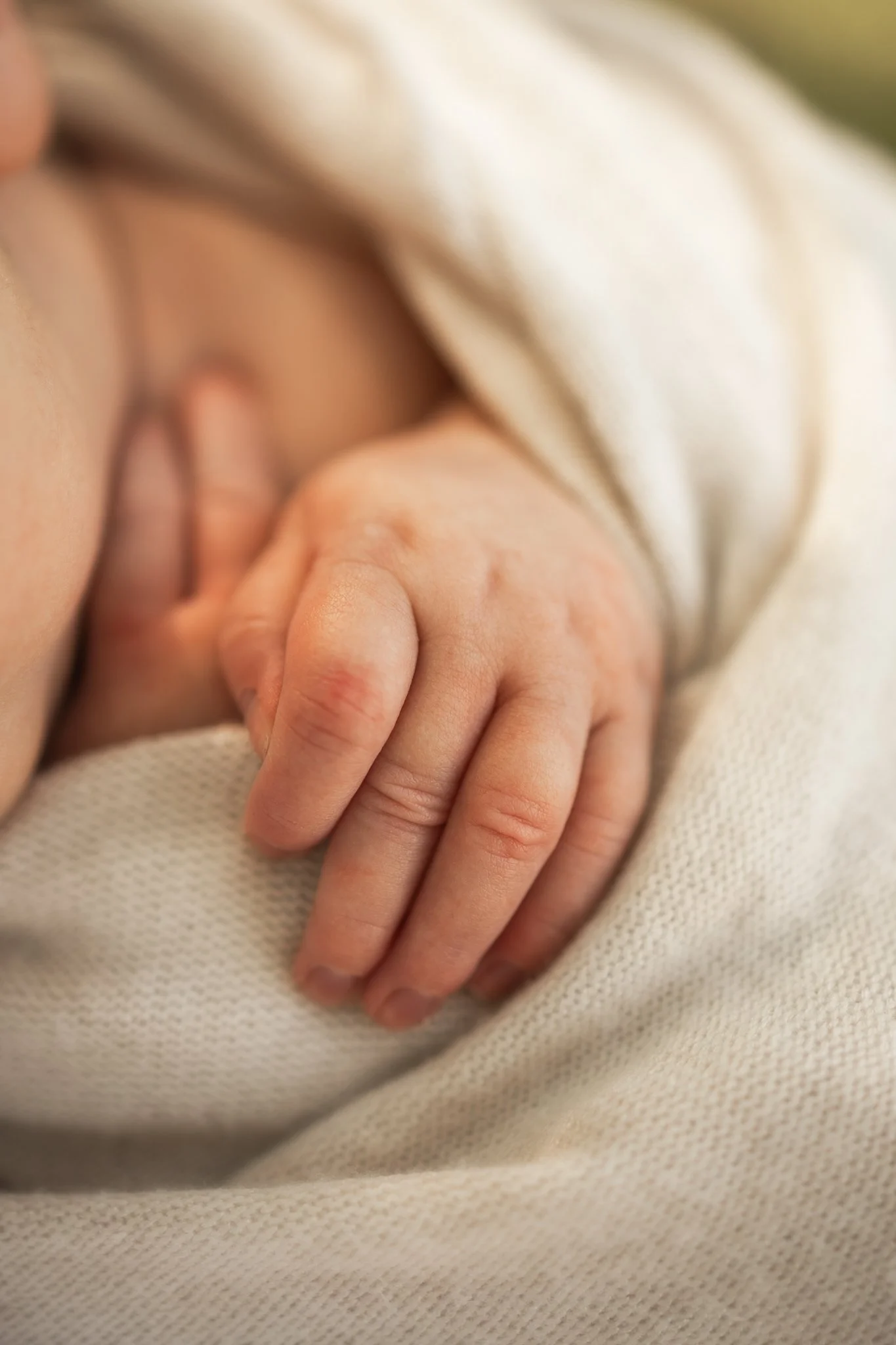 watsynnewborn2026web.91.jpg