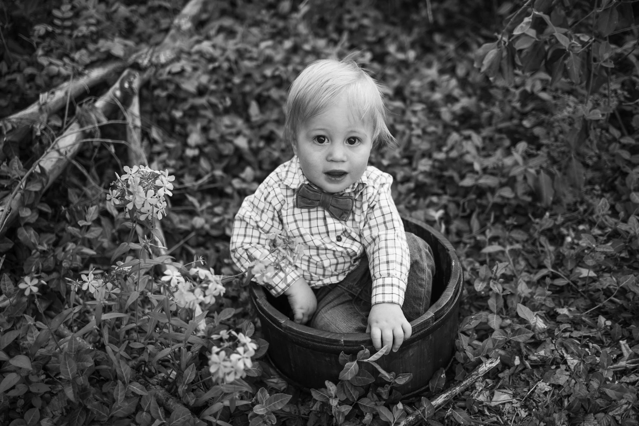 webgreene2026BW.16.jpg