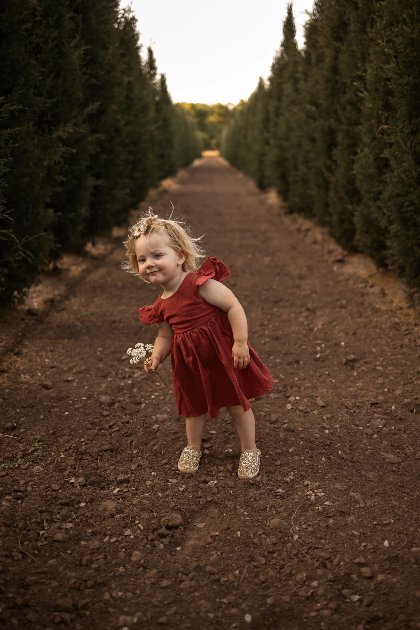 webBrair2Years2026.110.jpg