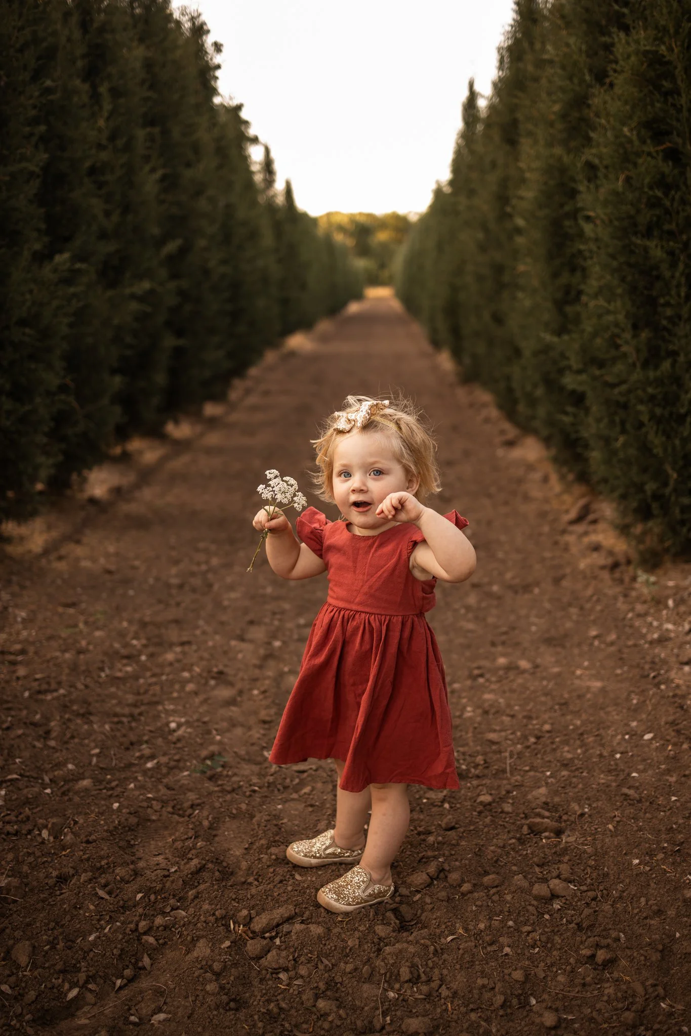 webBrair2Years2026.116.jpg