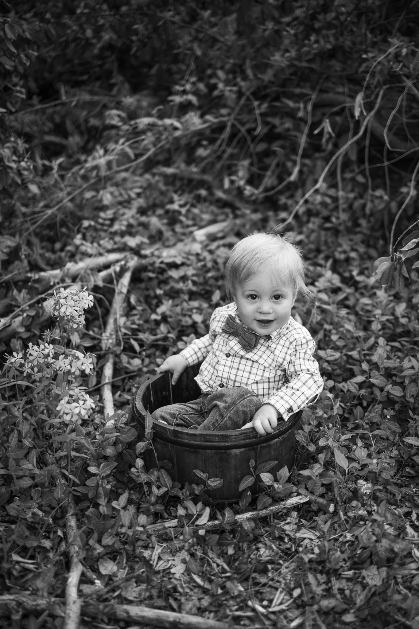 webgreene2026BW.3.jpg