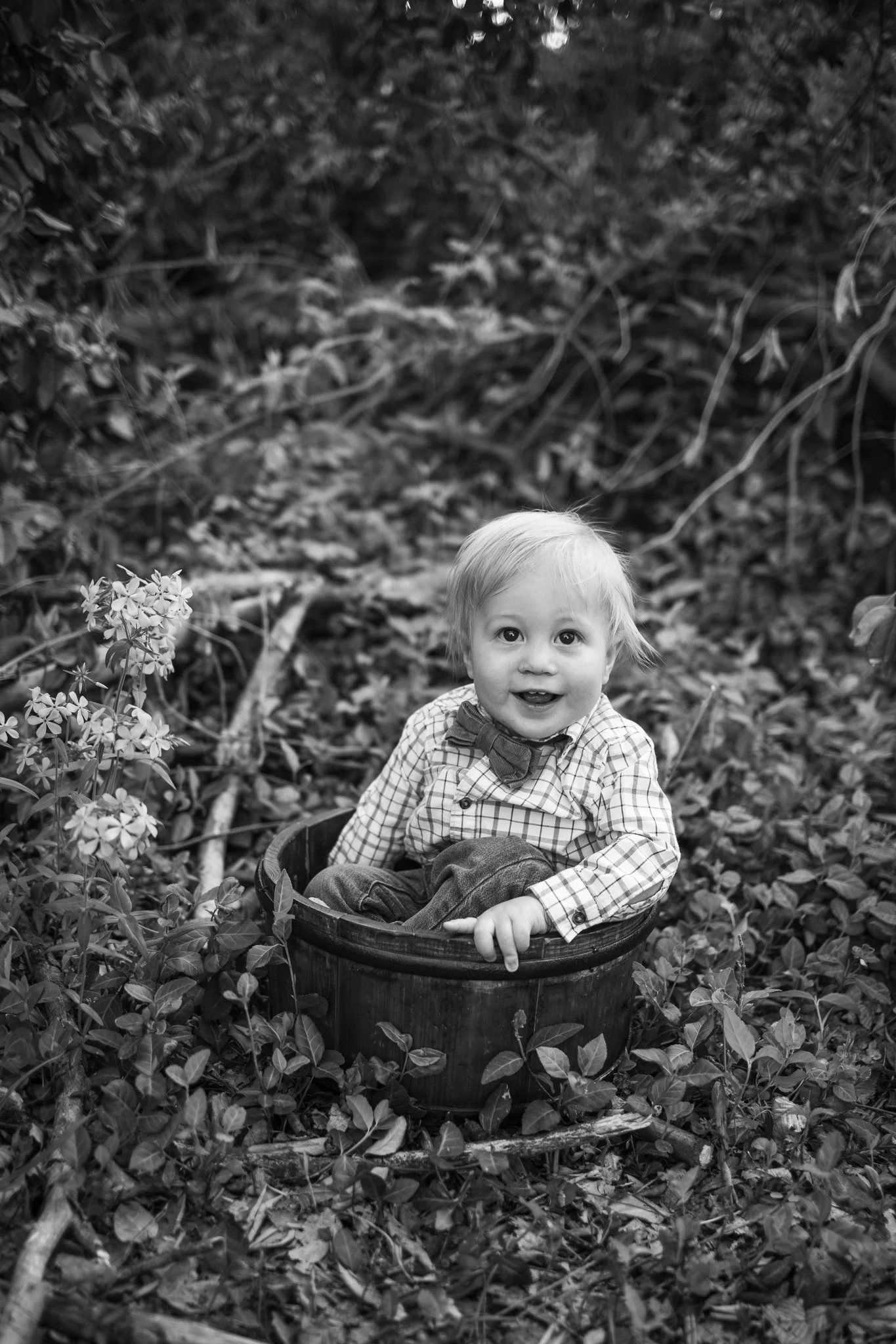 webgreene2026BW.5.jpg